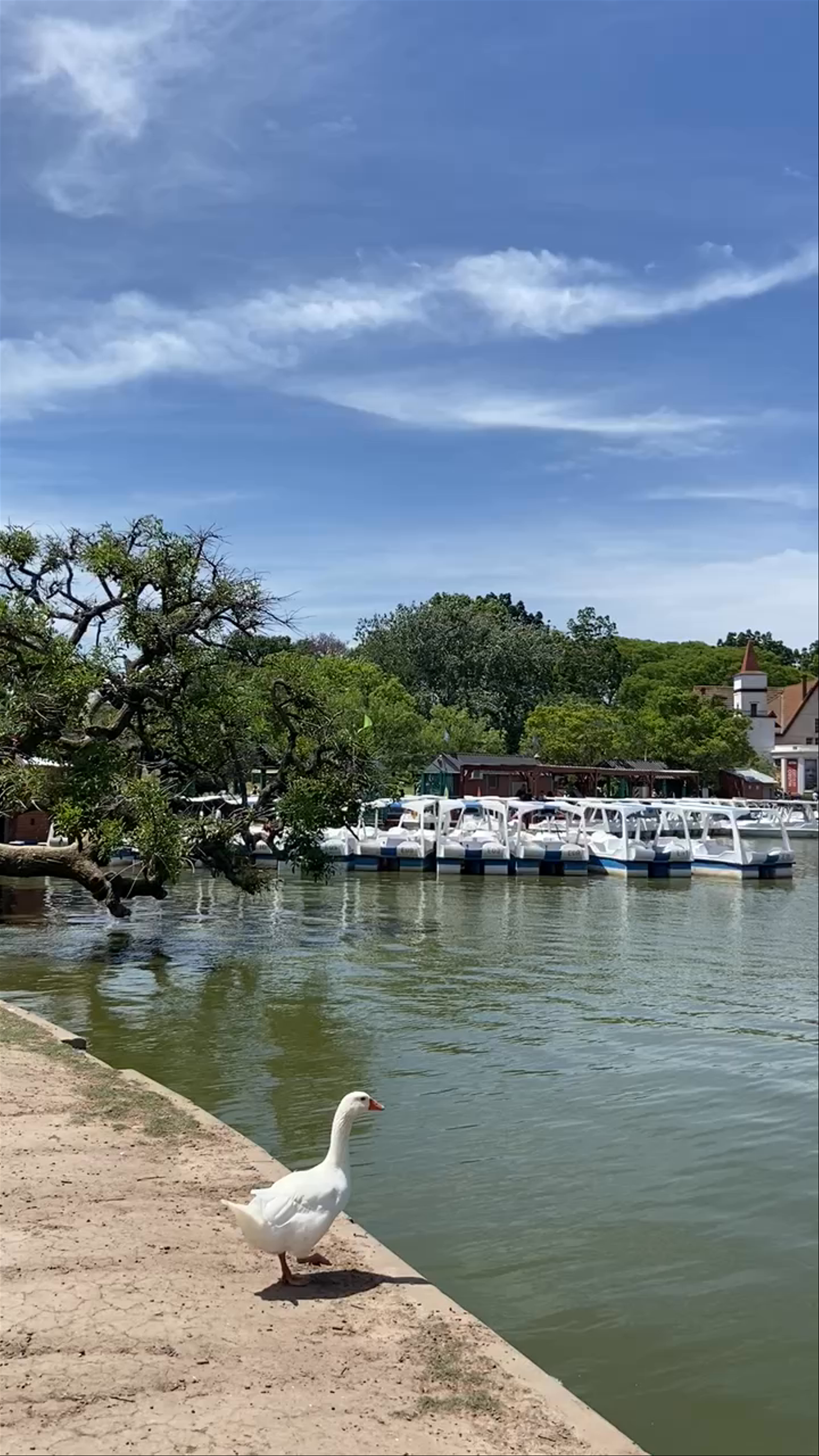 Paseo El Rosedal Garden