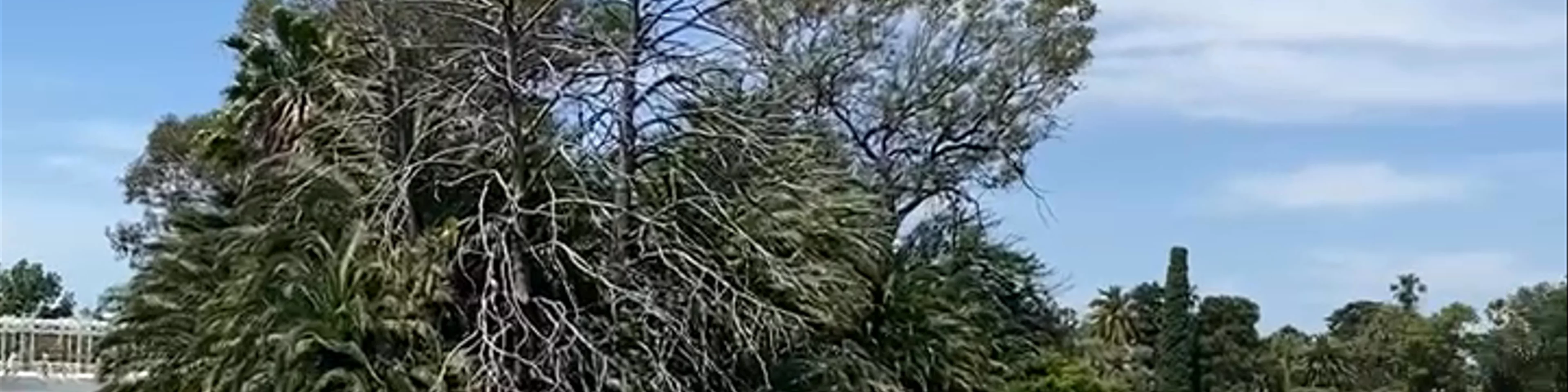 Paseo El Rosedal Garden
