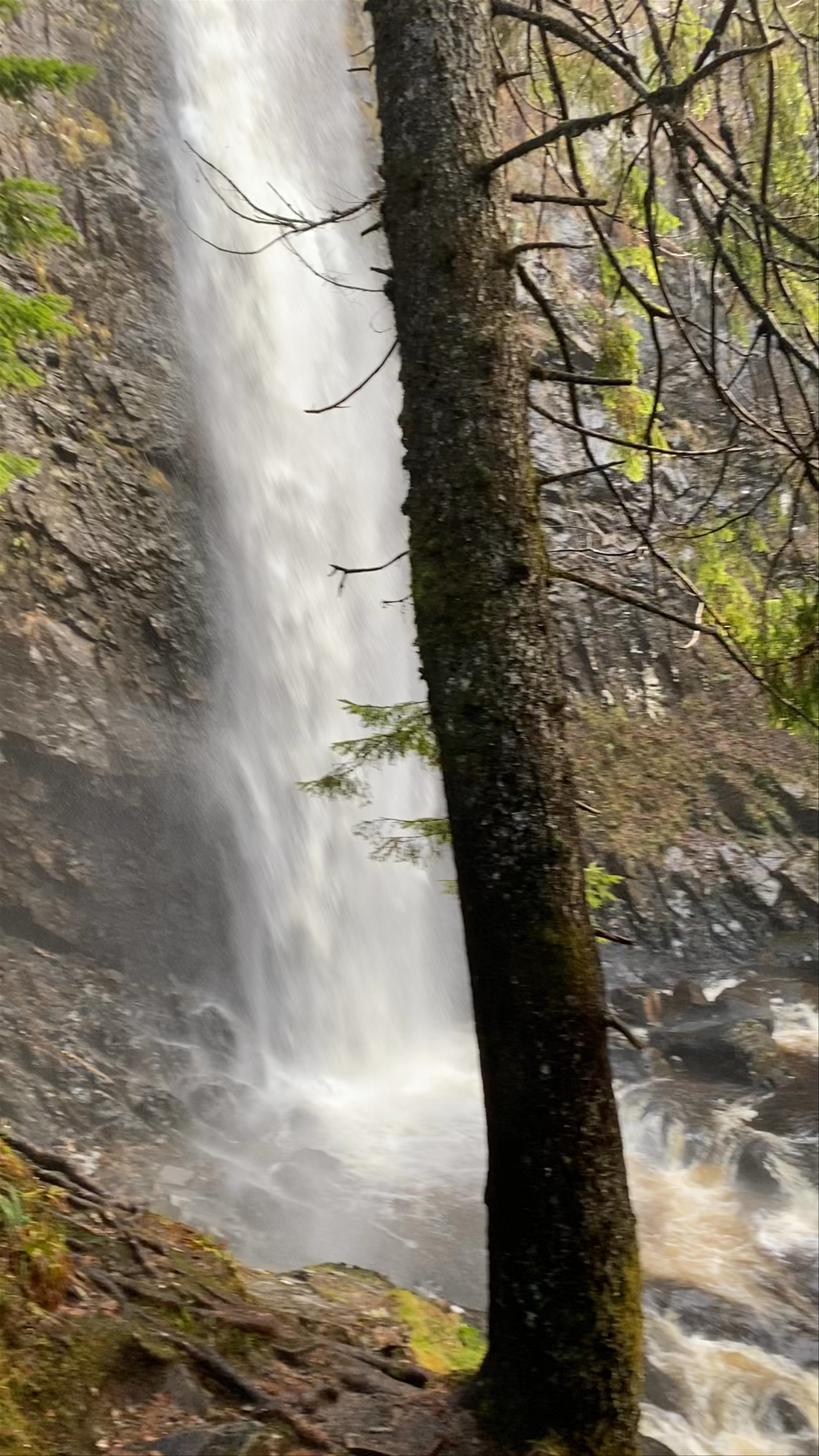 Plodda Falls