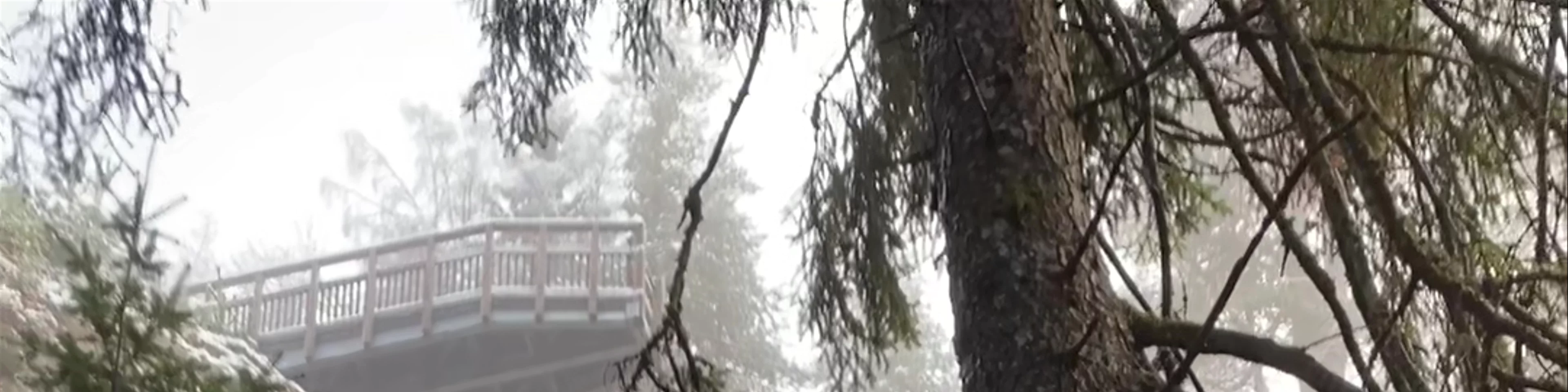 Plodda Falls