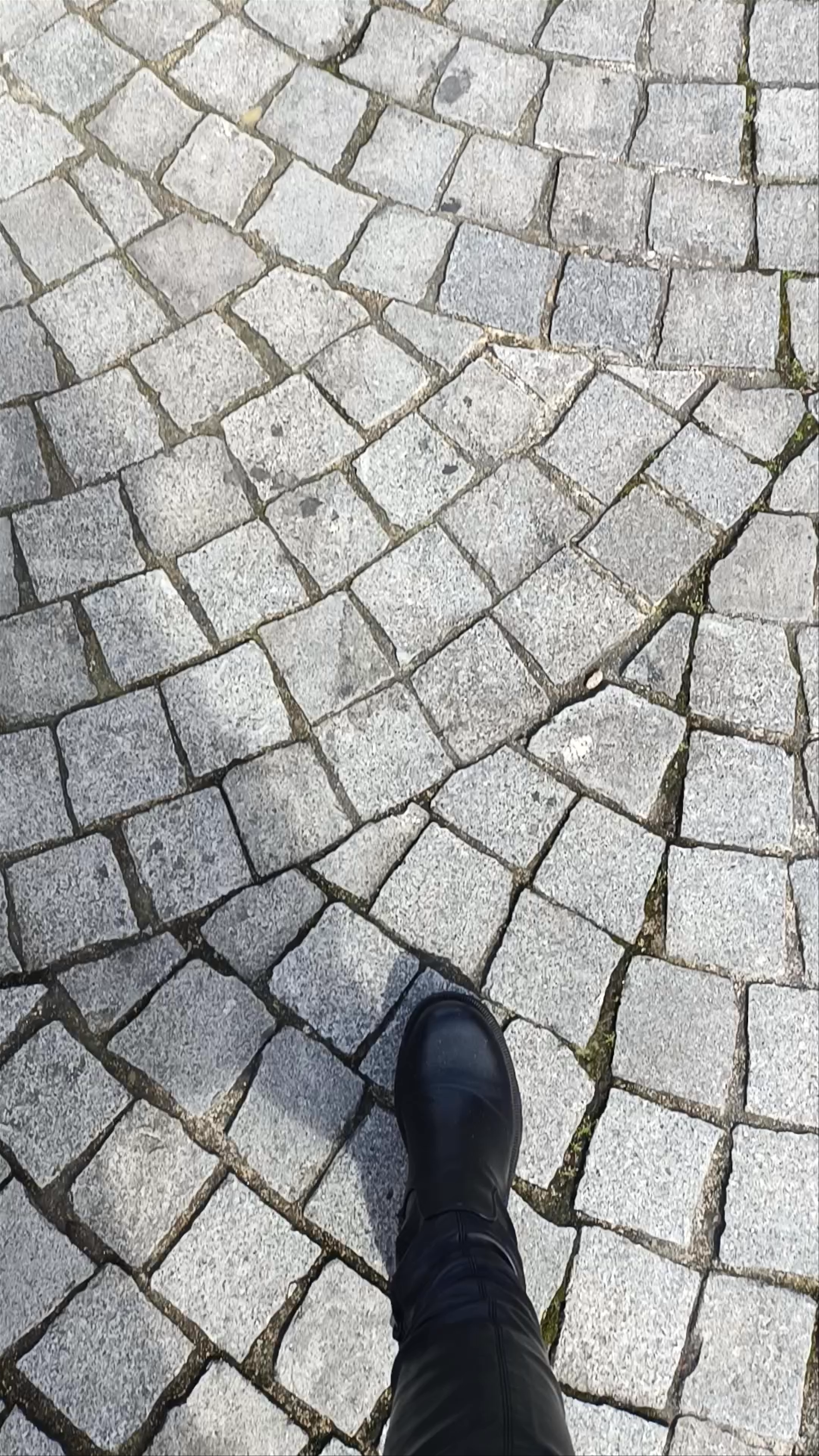 Câmara Municipal do Porto