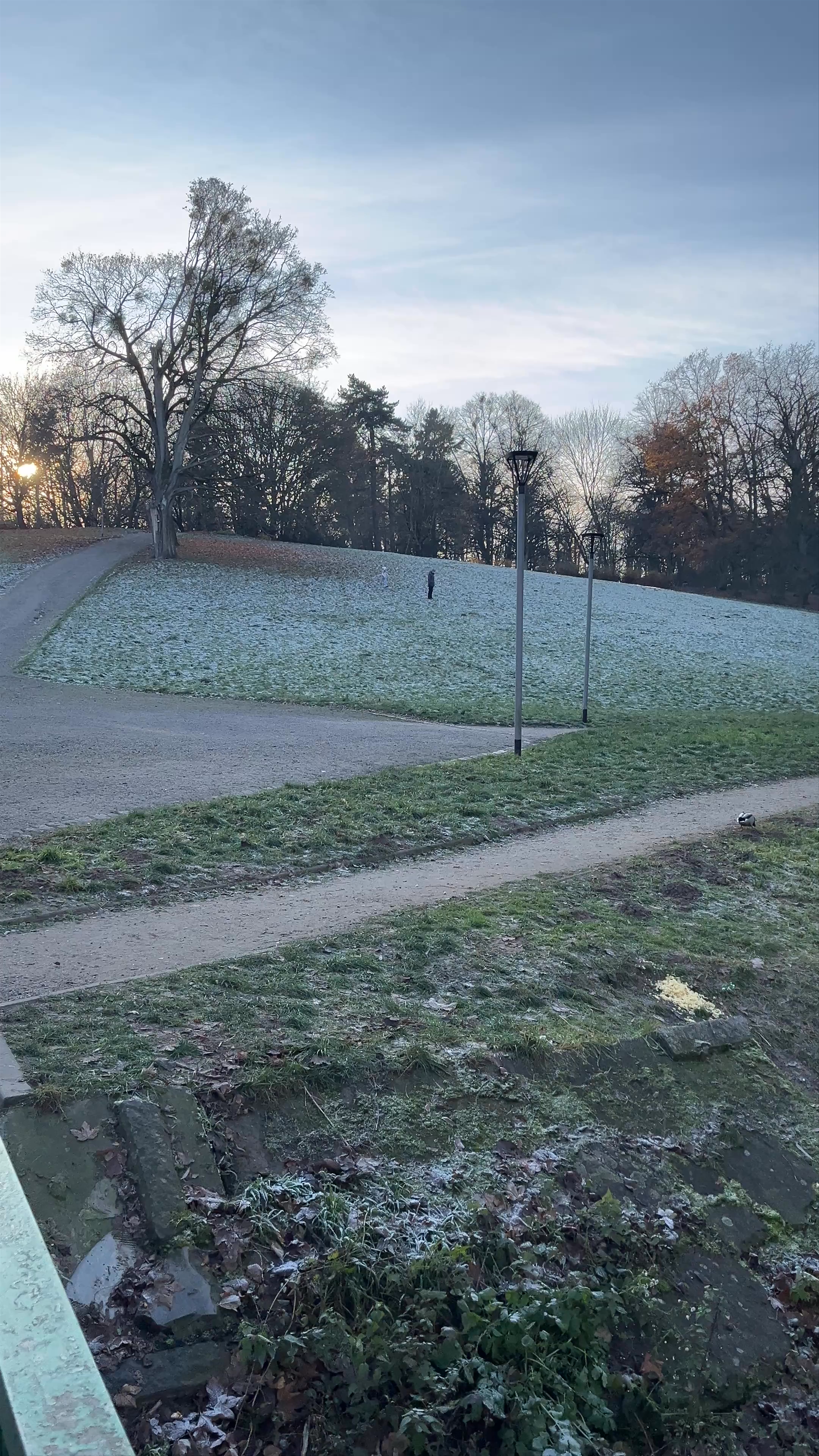 Winter Chill at Rusałka Lake Park, Szczecin, Poland