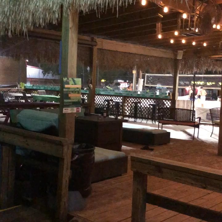 Third Coast Volleyball  - This place is sooooo bomb! Love be concept and admission is on $6. - Sports Clubs Near Me - Houston, Texas