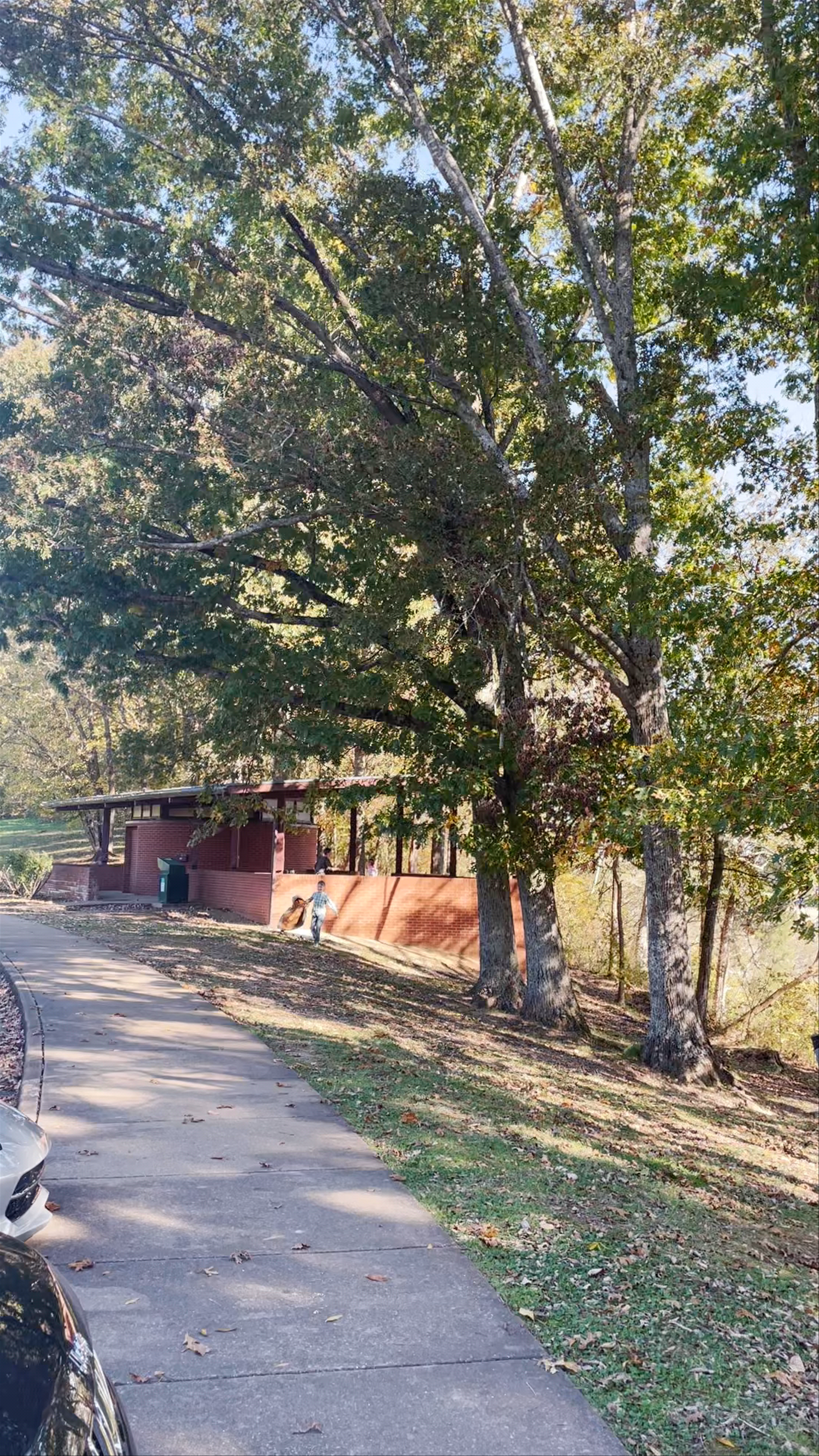 Jackson Falls in fall