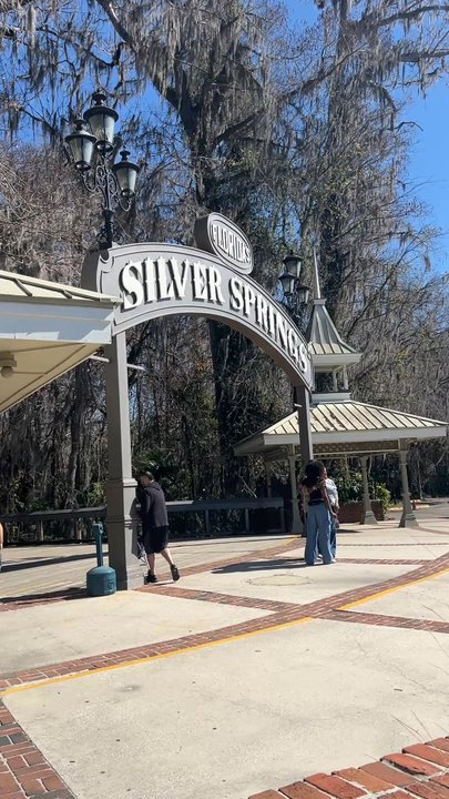 Spring Side Restaurant - New American Near Me - Silver Springs, Florida