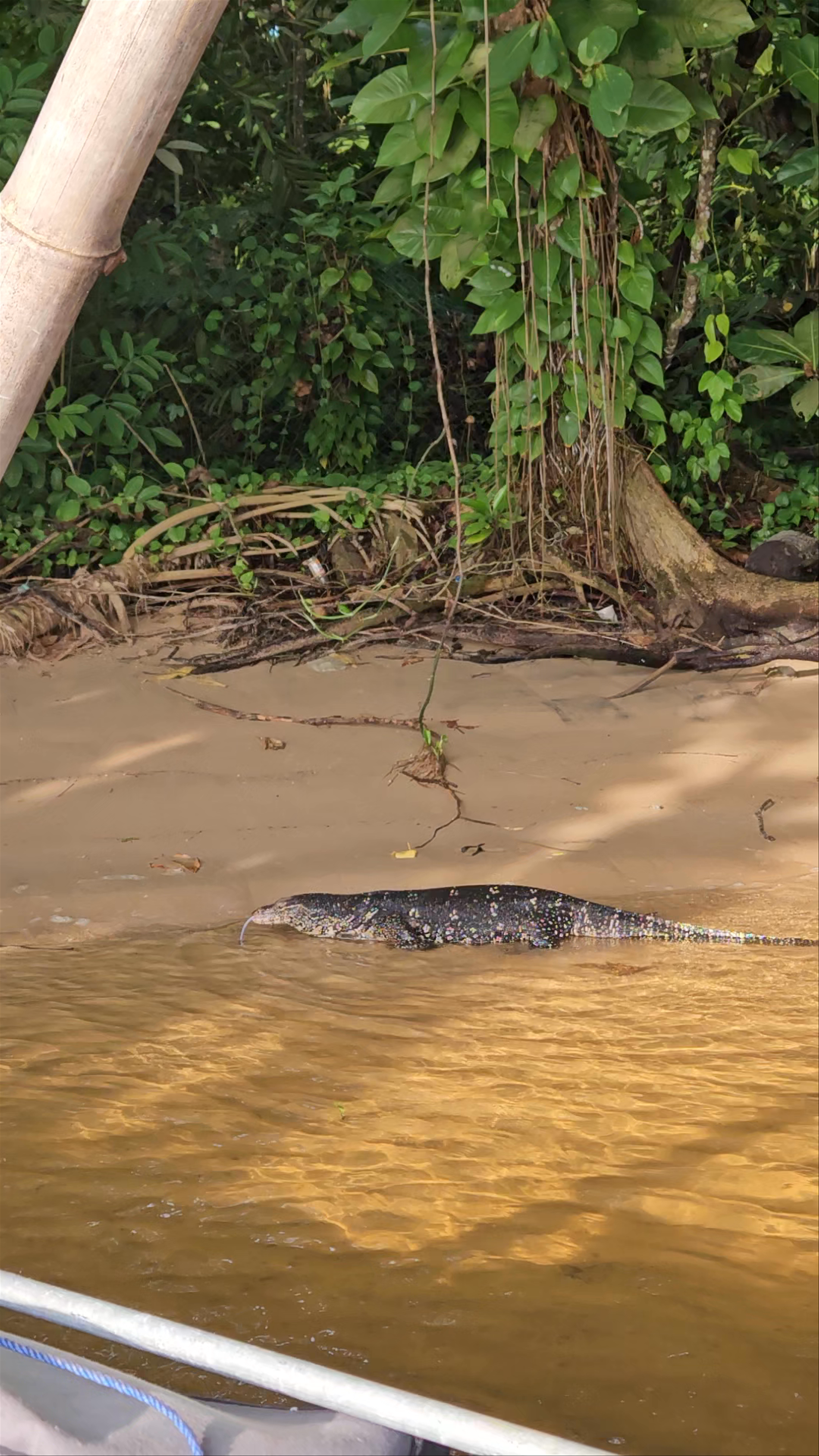 Bentota River Safari & Deep Sea Fishing by VTS Lanka