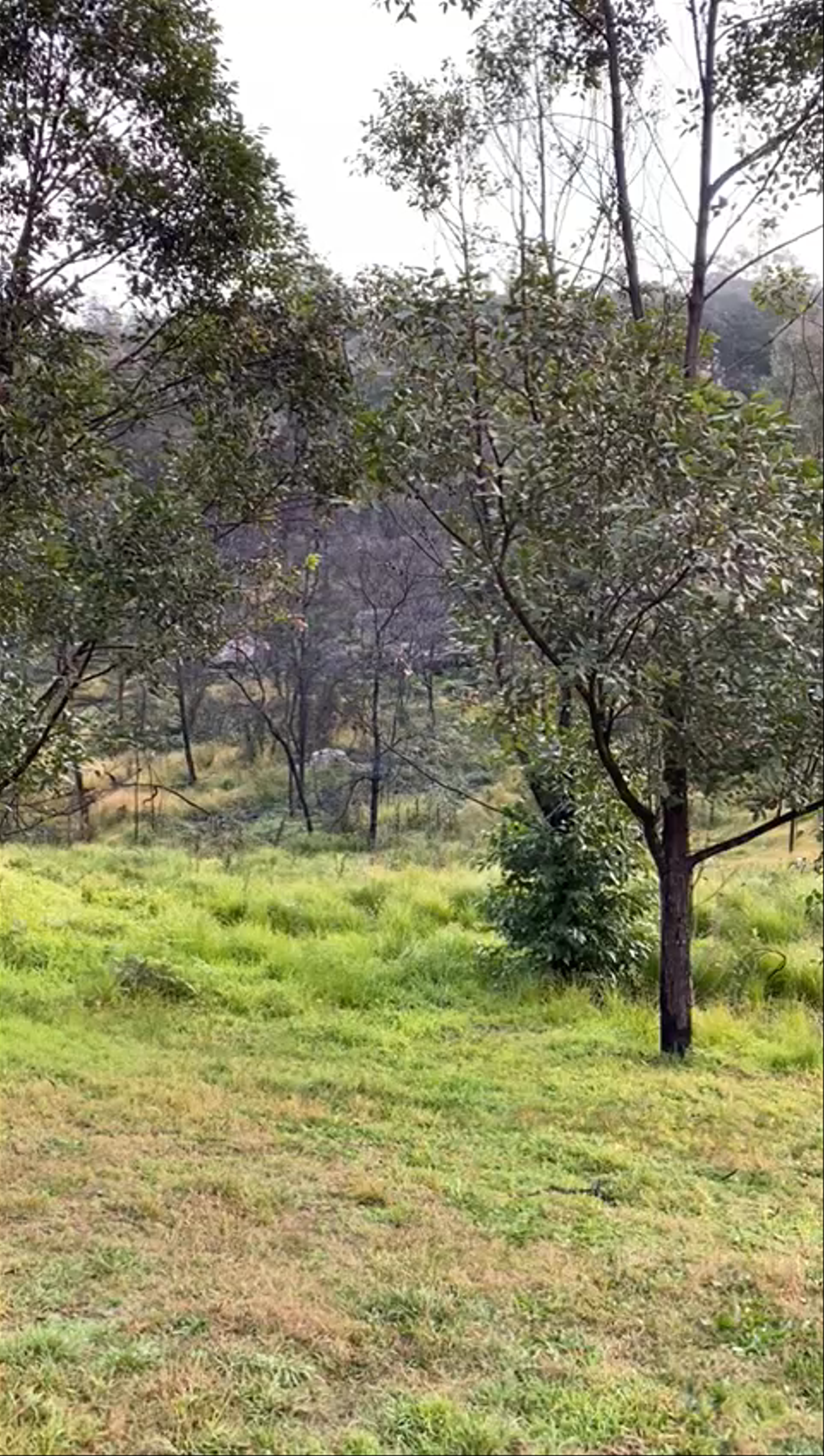 Wollemi National Park