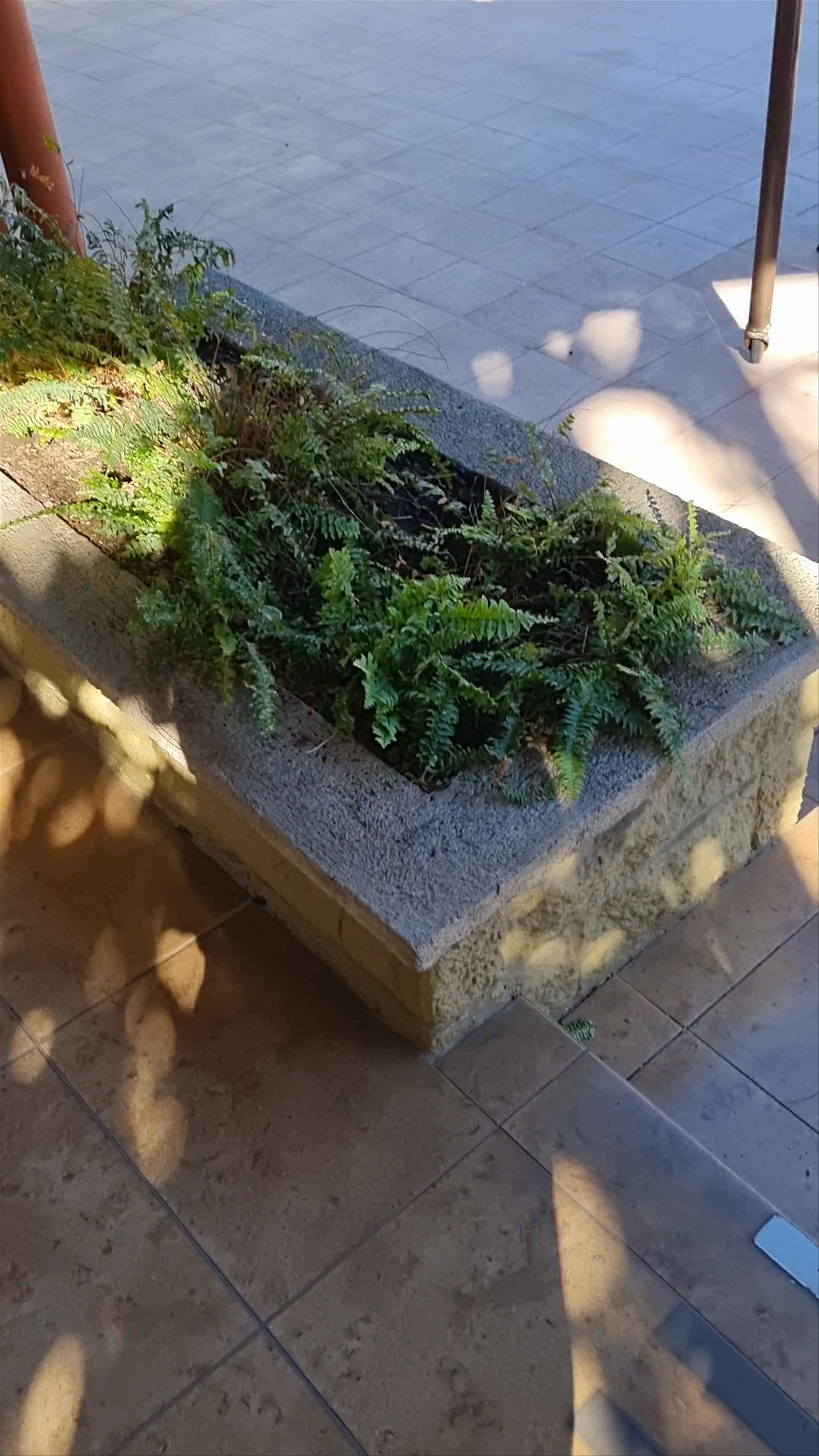 Country Inn & Suites By Radisson