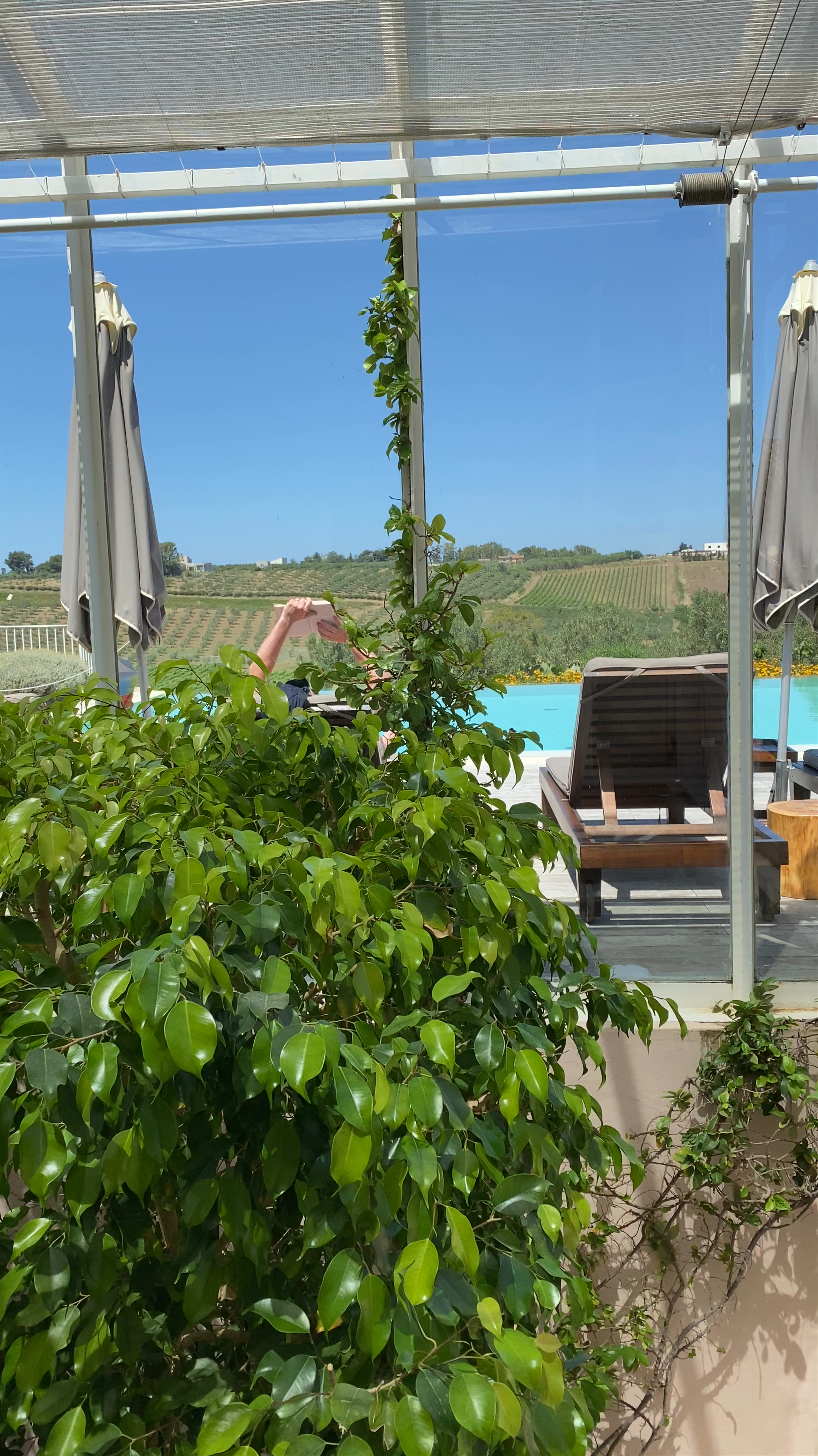 La Foresteria Planeta Estate