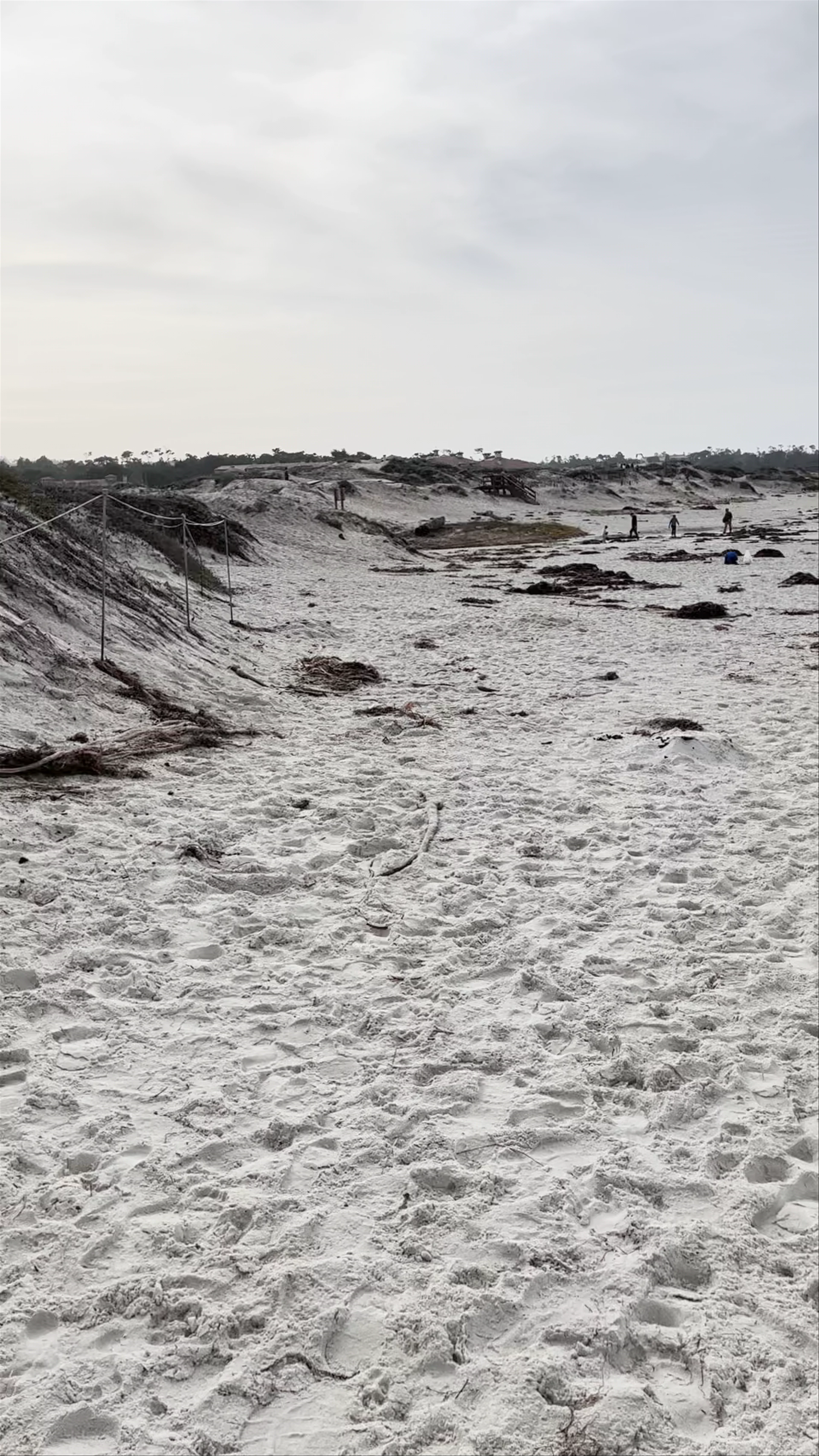 Asilomar State Beach