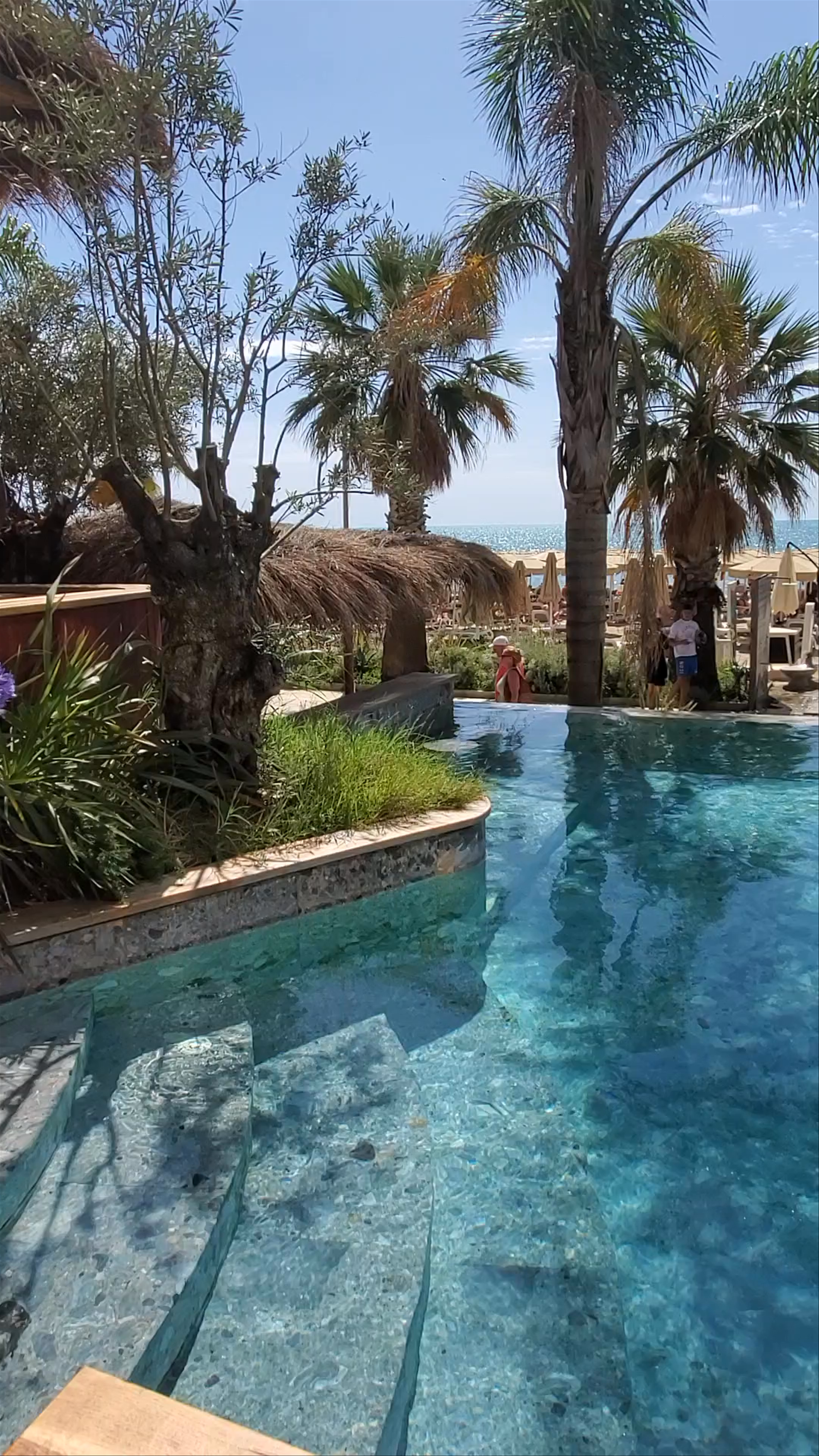 Epidamn White Sensation