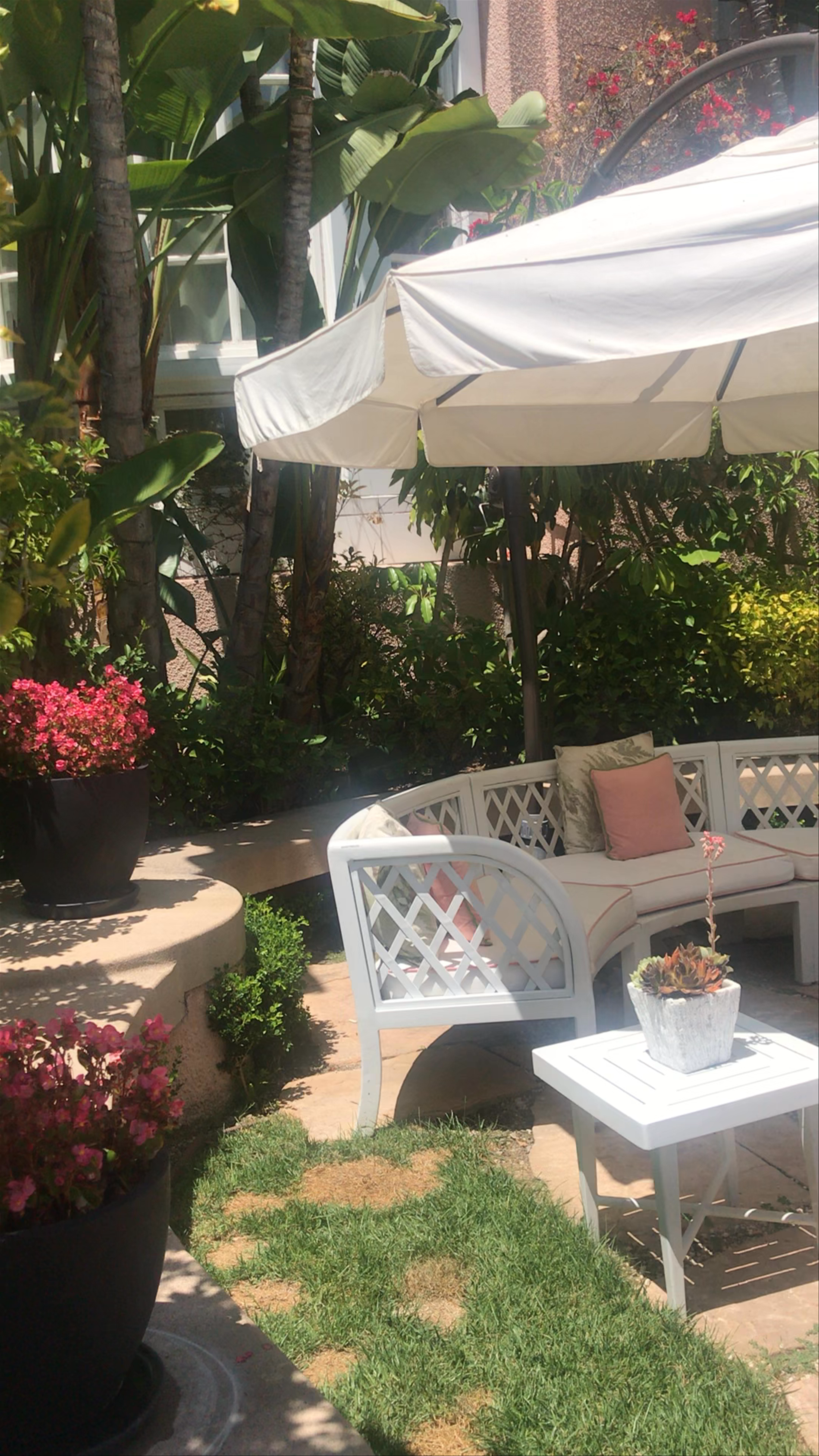 Sunny Garden Oasis at The Beverly Hills Hotel