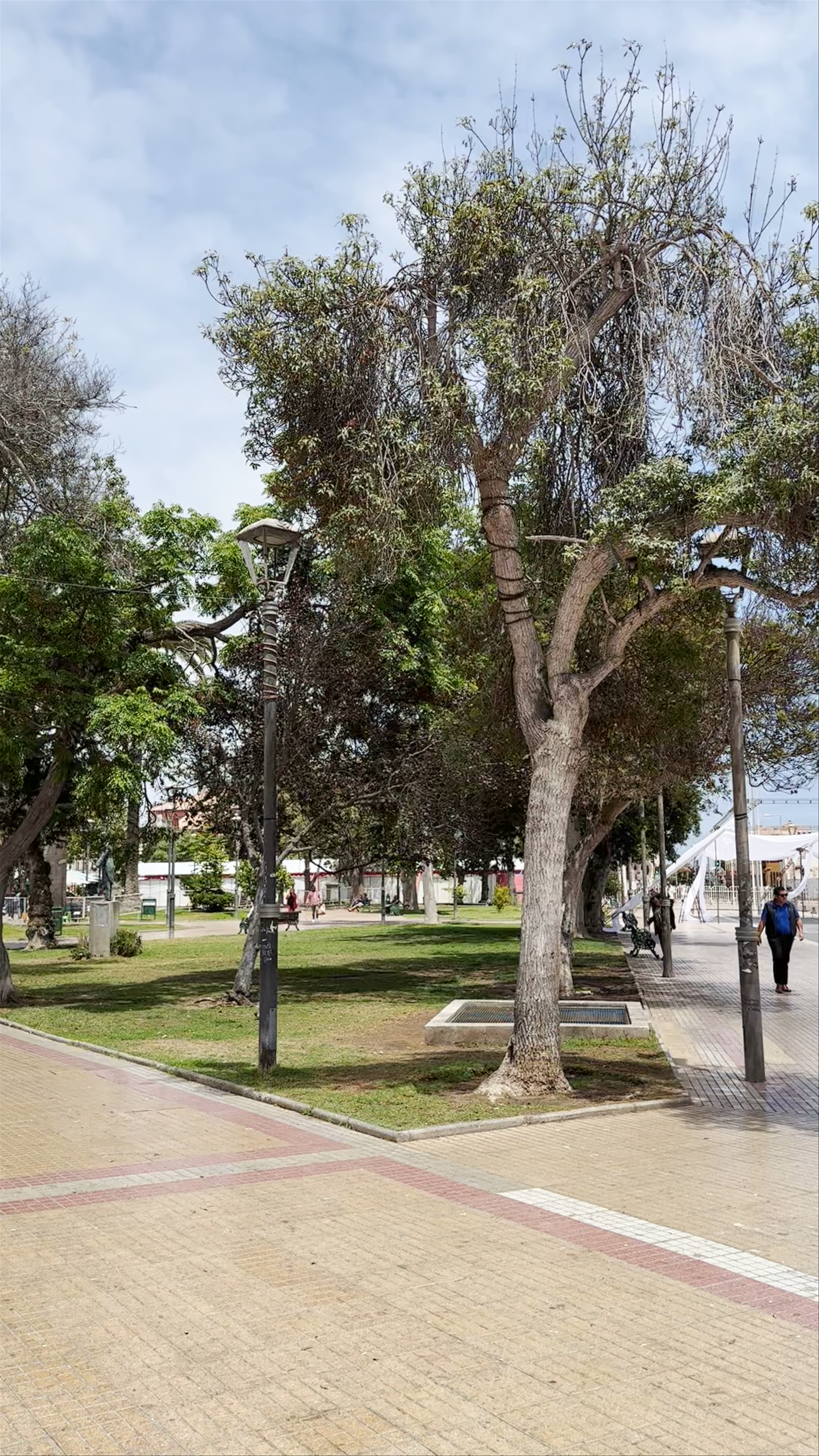 Plaza de Armas de la Serena