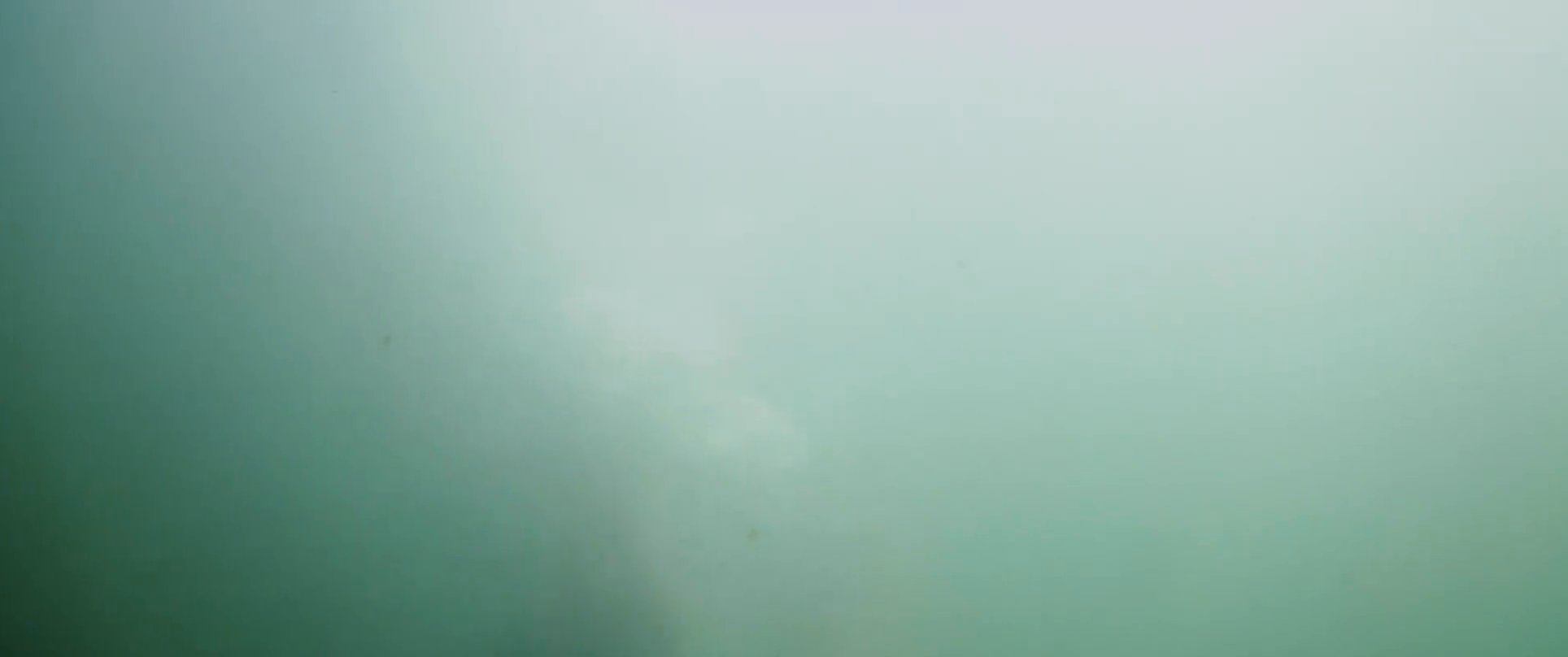 A surfer rides a large breaking wave before being overtaken by the water and submerged in the surf. The sequence transitions from an action shot on the surface to an underwater perspective.