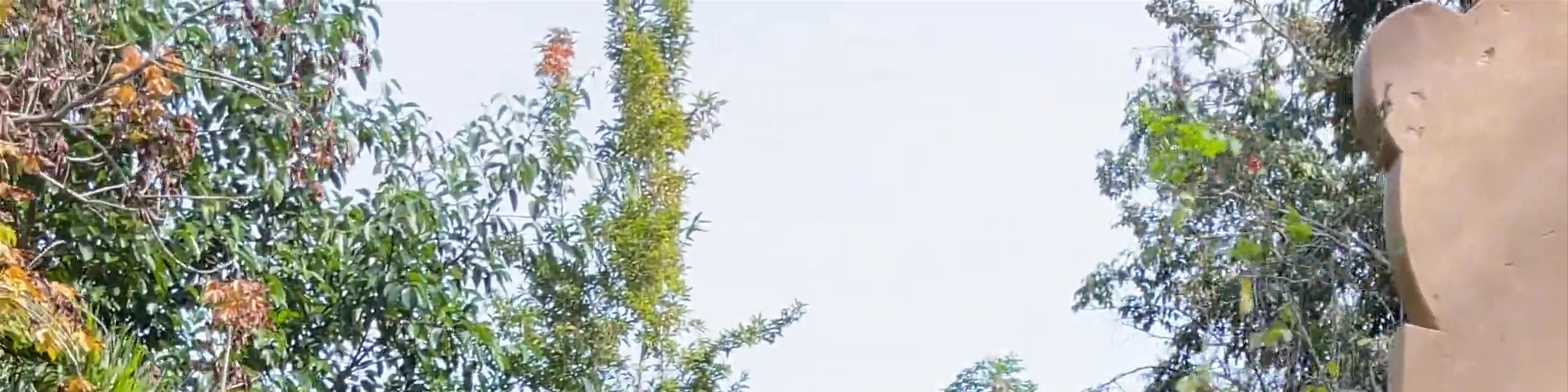 Wat Pa Huai Khai Khiri