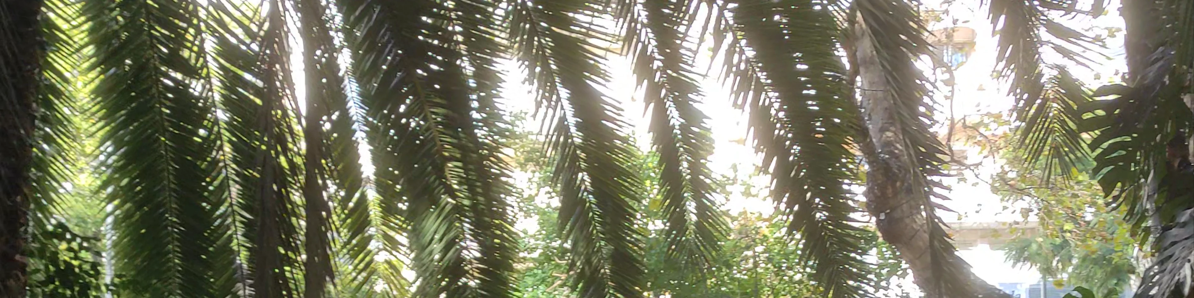 Parque de la Alameda