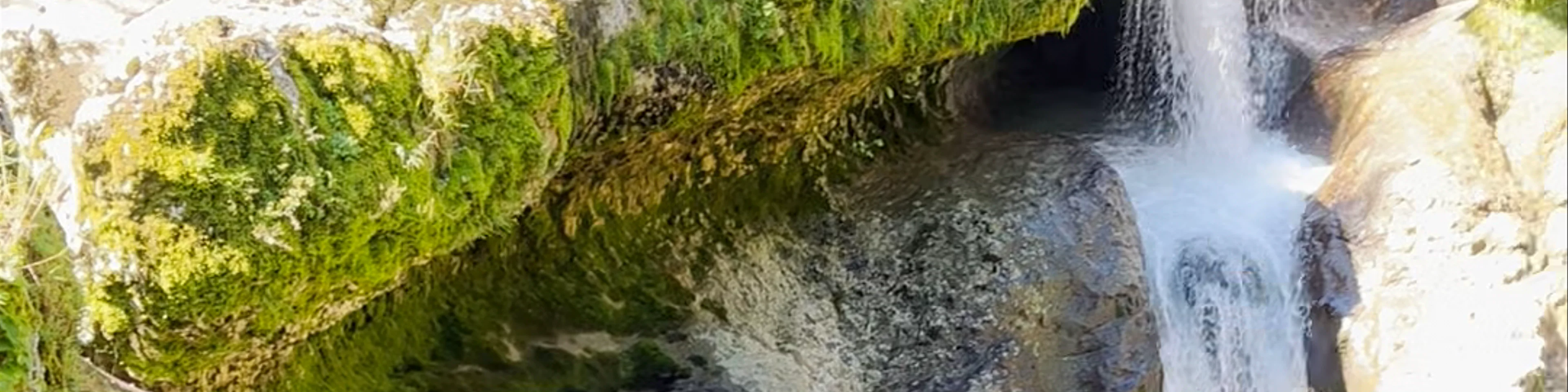 Martvili Canyon Bridge