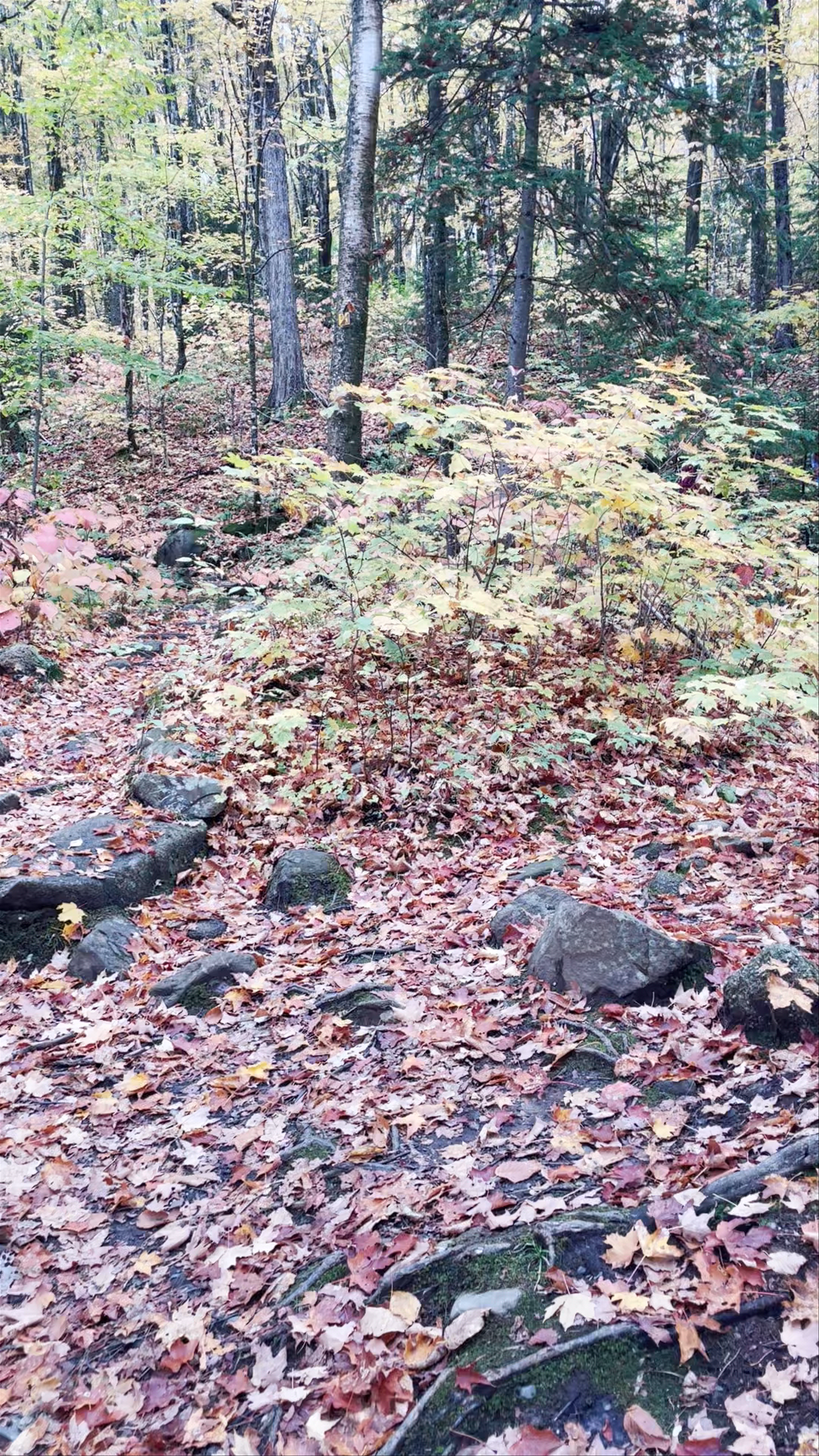 Parc national du Mont-Mégantic - Secteur de Franceville