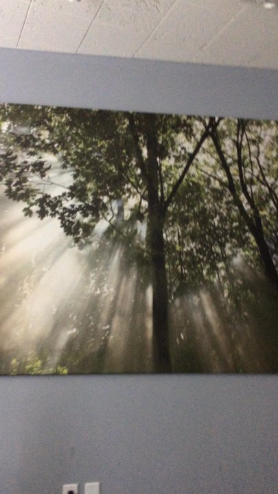 Meadows Chiropractic and Laser Center - Canvas in massage room while soundtrack of little birdies chirping plays - Chiropractors Near Me - Dallas, Texas