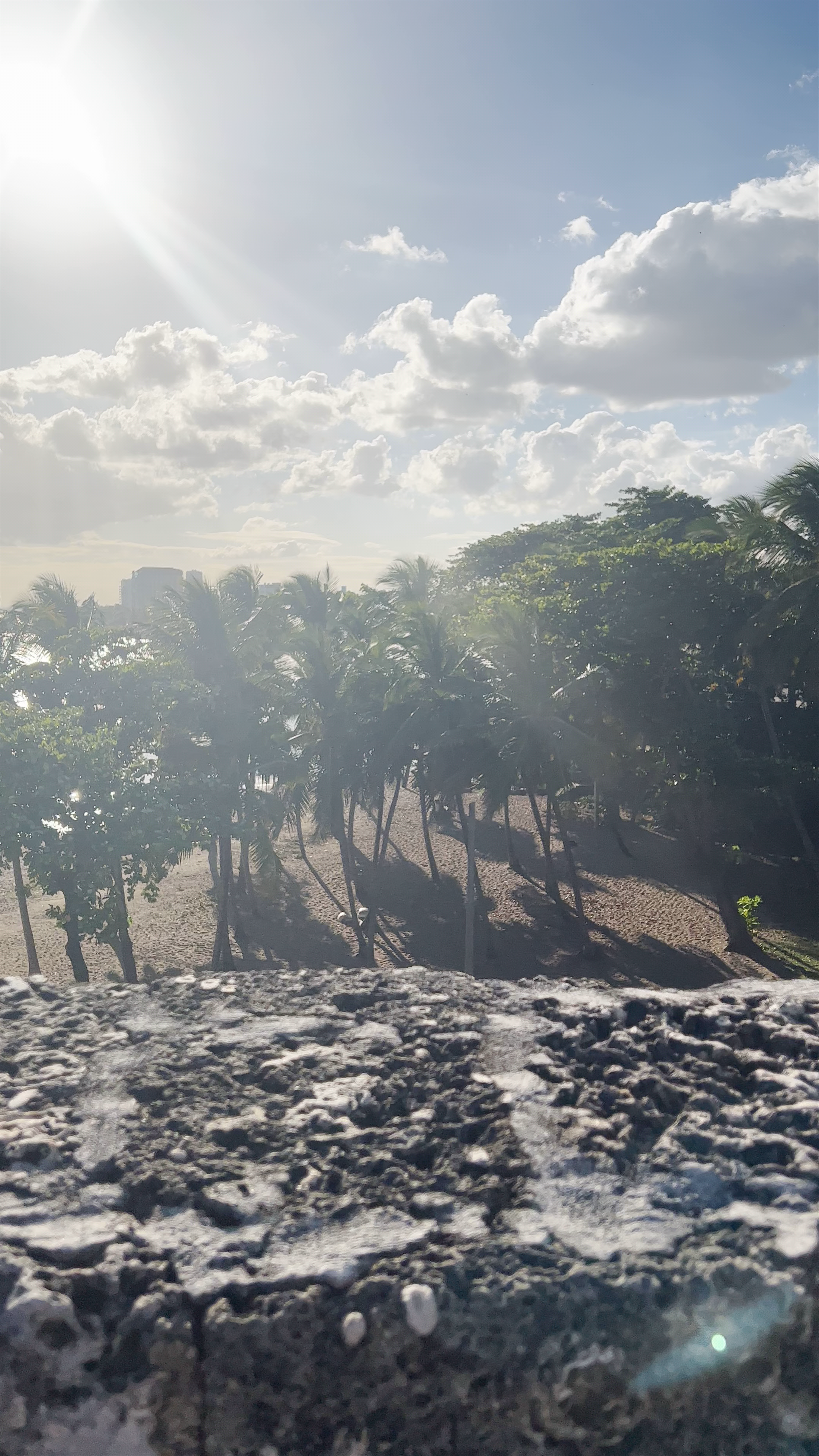 Monumento a Fray Antonio de Montesinos