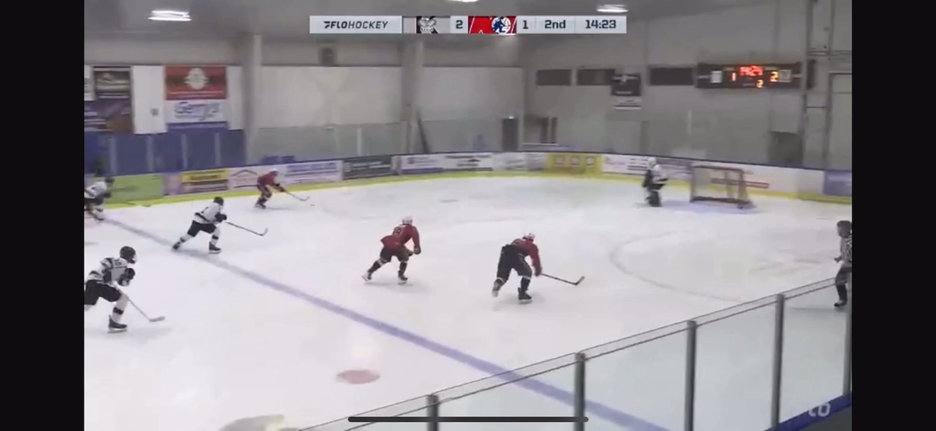 2025-2026 Highlights