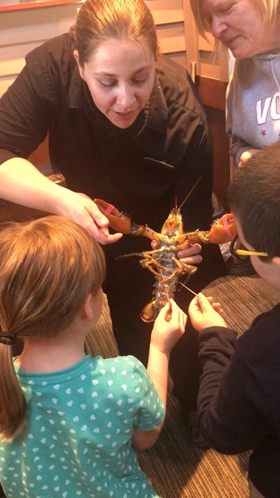Red Lobster - Sarah teaching us about the lobsters ways to see, taste, and eat! - Seafood Near Me - Grand Island, Nebraska