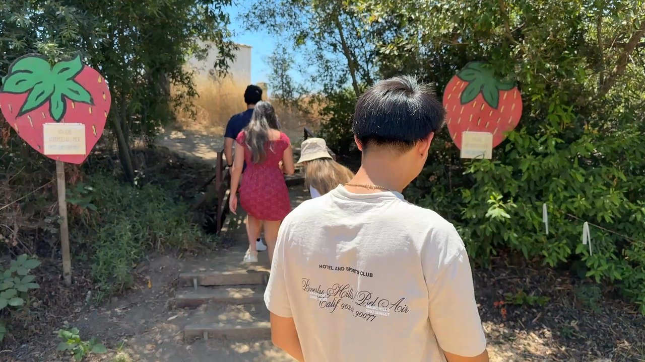 Gizdich Strawberry Patch - Walking to the patch - Pick Your Own Farms Near Me - Watsonville, California