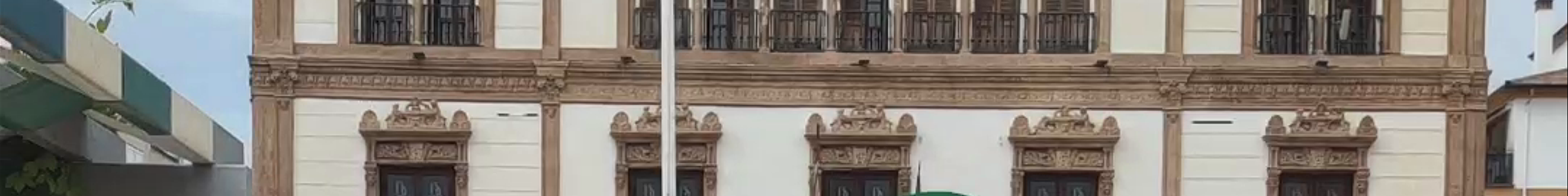 Tours & experiences in Ronda