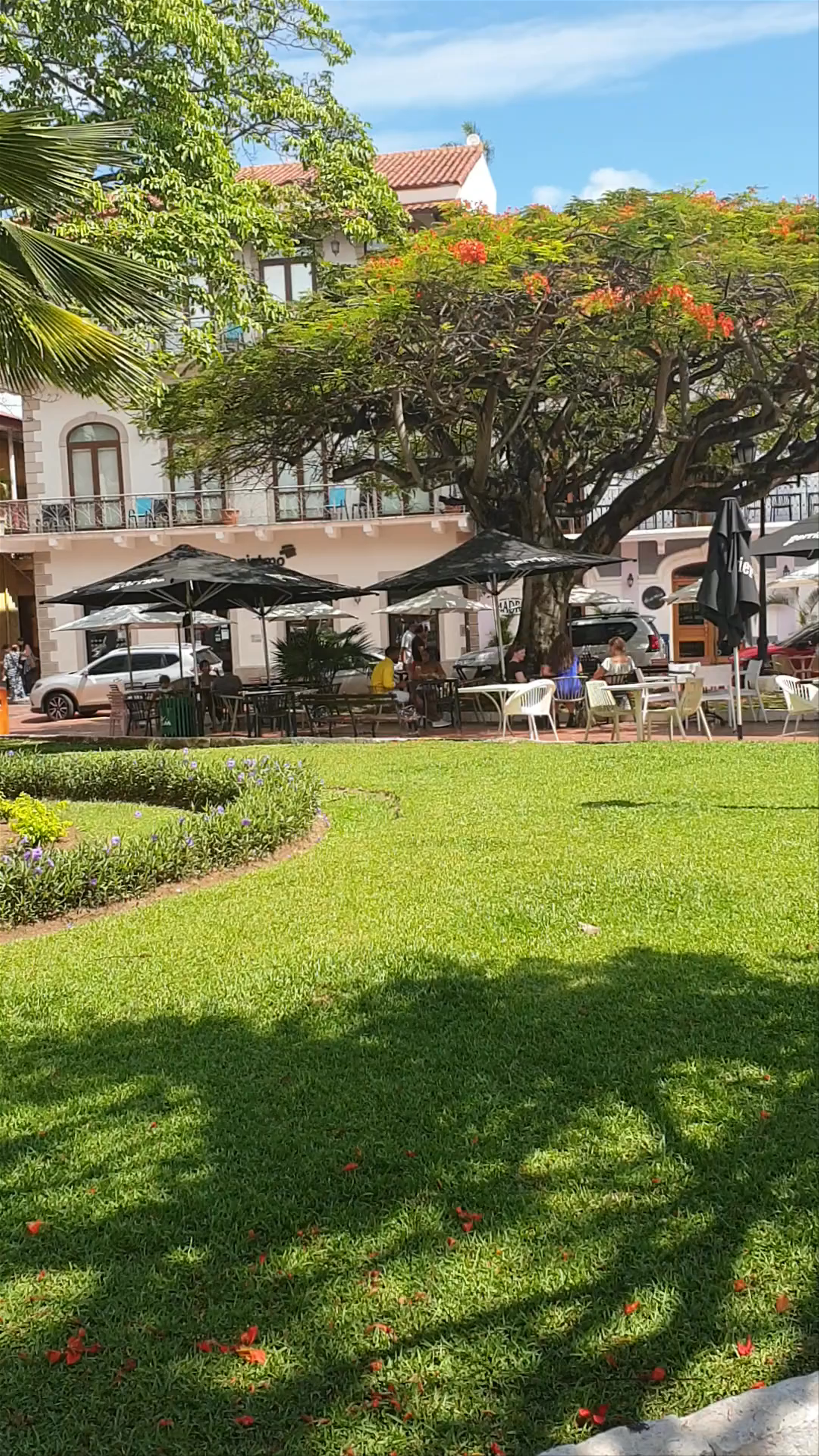 Plaza Tomás Herrera: A Tranquil Urban Oasis in Panama City