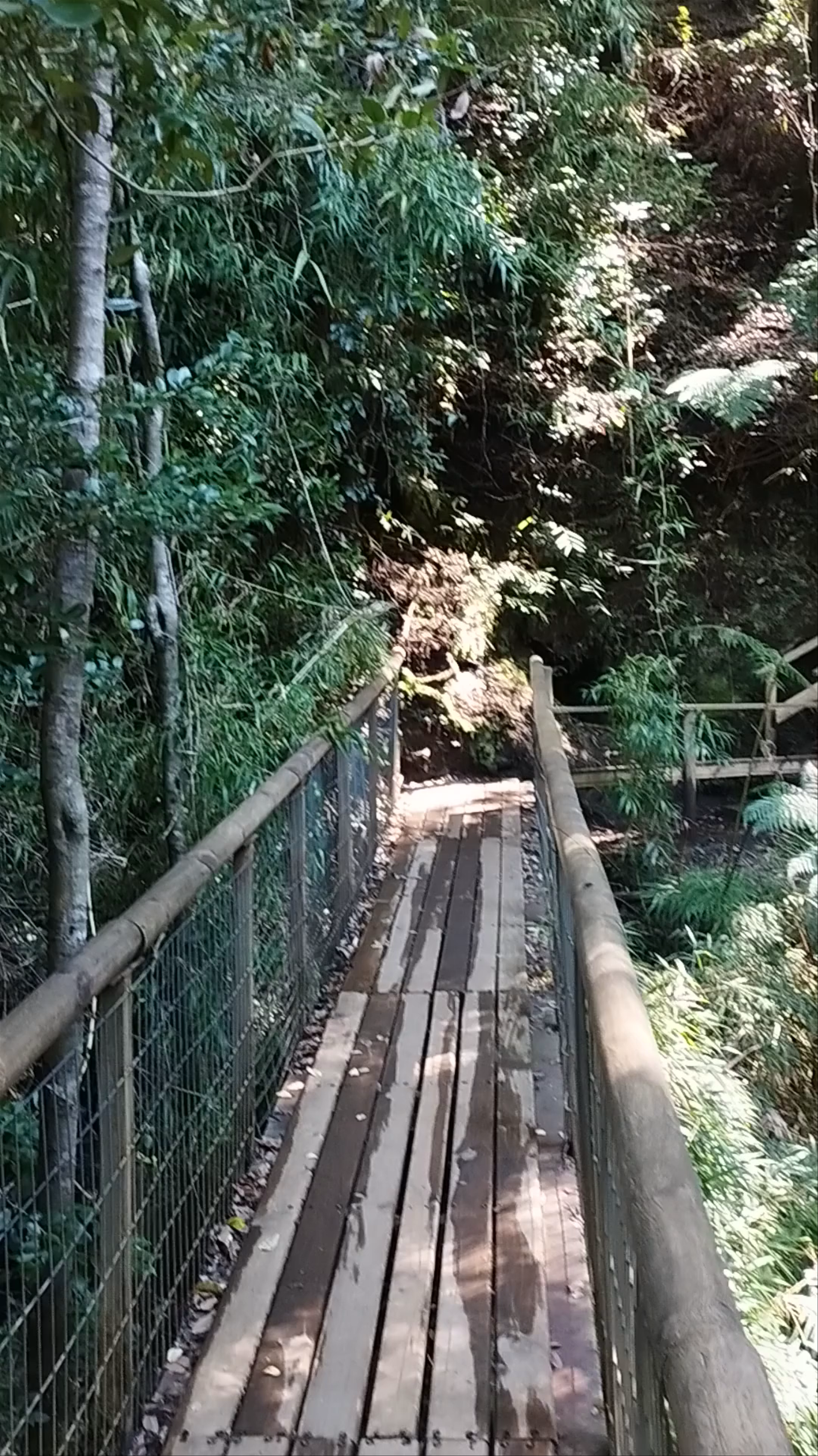 Parque Ojos del Caburgua