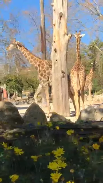 Lisbon Zoo