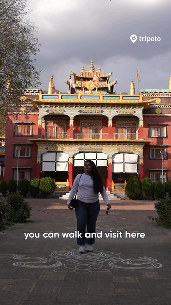 Photo of Have you ever been t