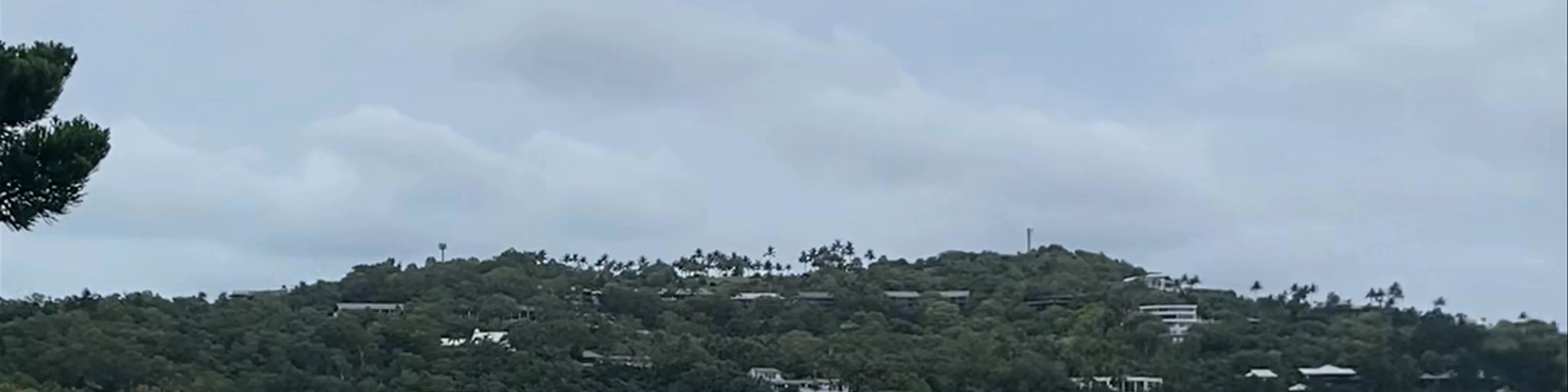 Frangipani Lawn