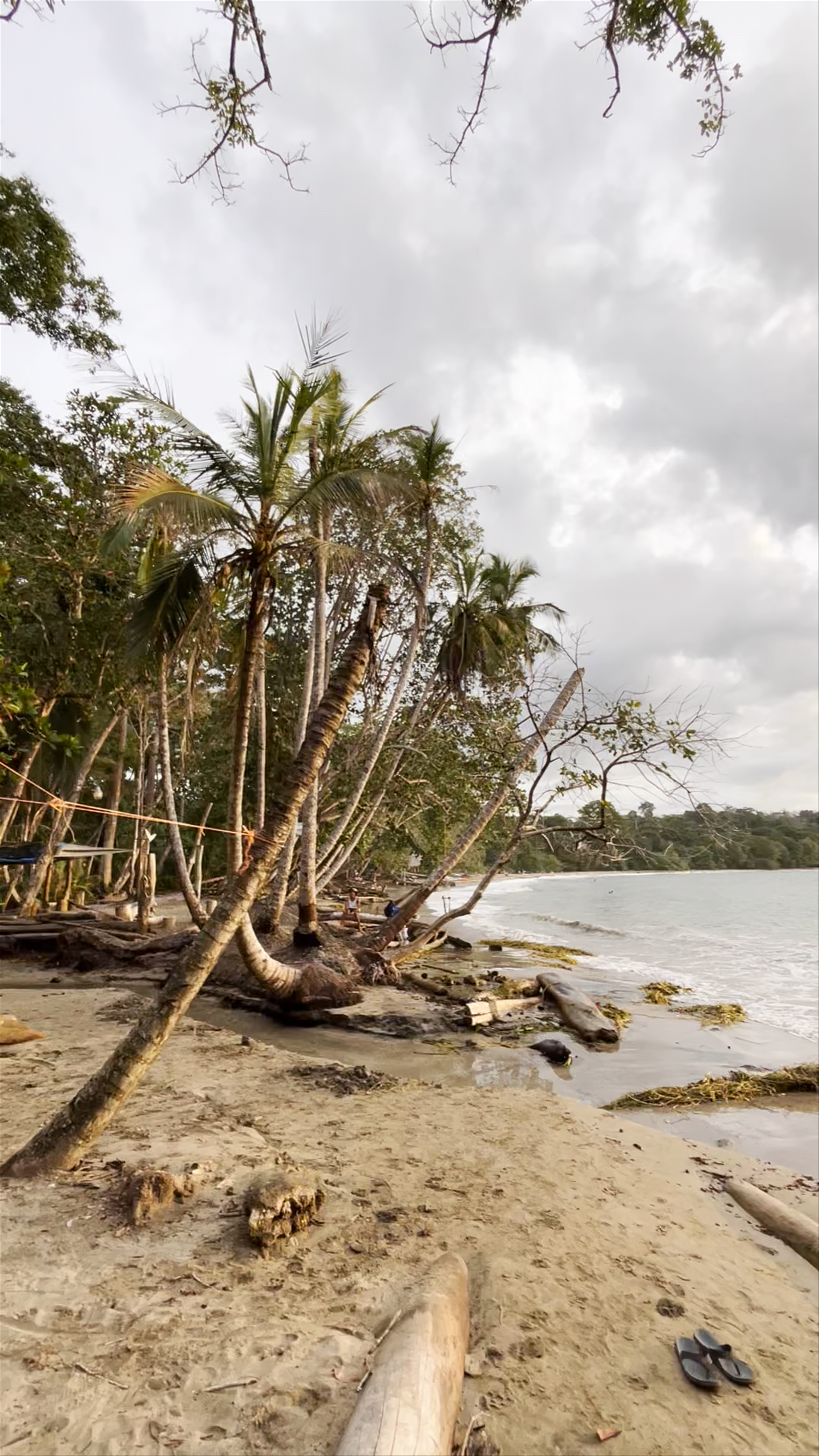 Playa Punta Uva