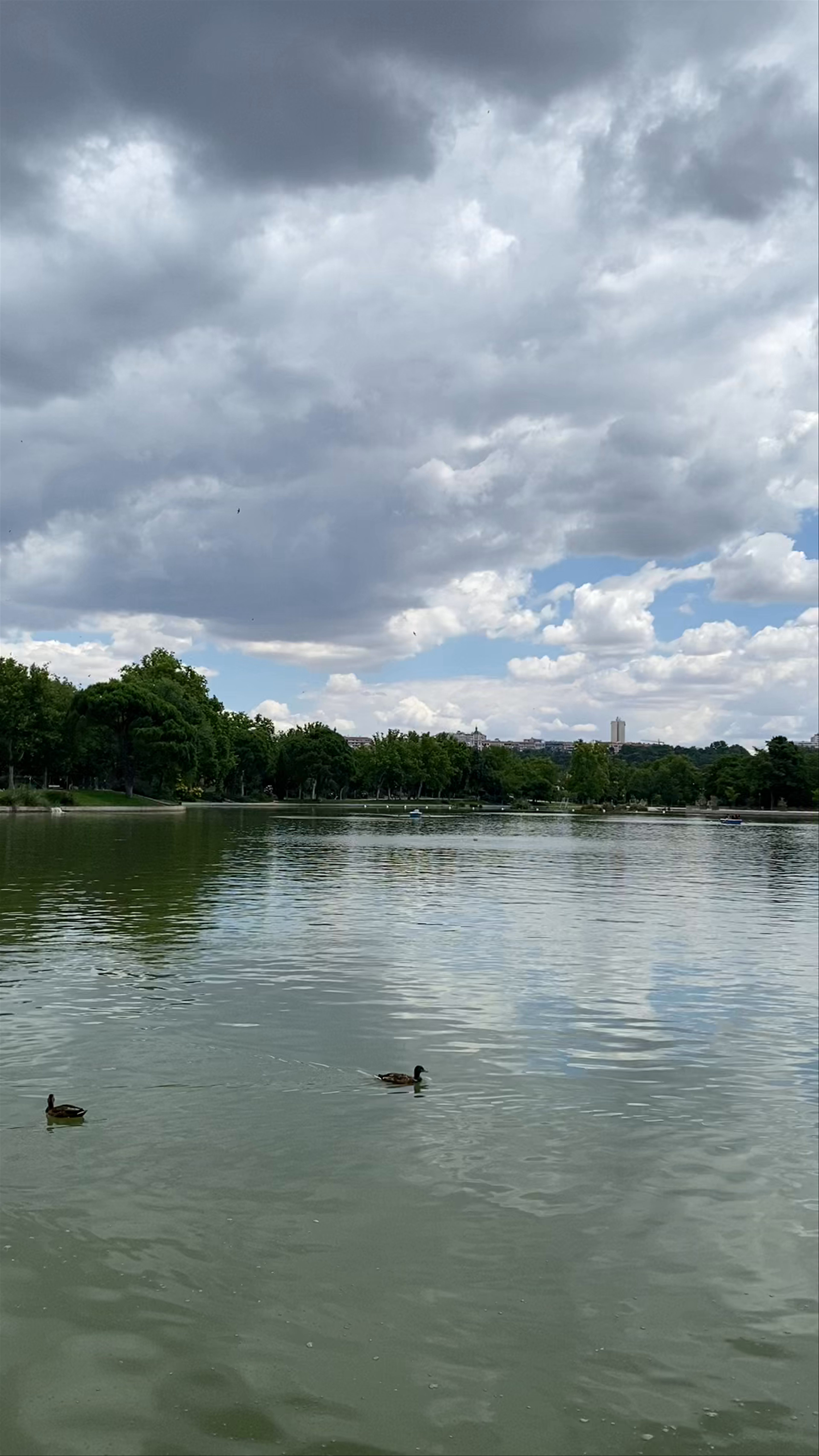 Tranquil Waters at Casa de Campo Lake in Madrid