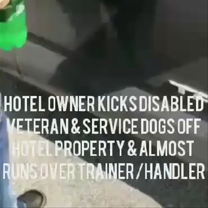 American Eagle Inn - Gene the owner almost runs over Paws for Veterans Executive Director for staying with service animals. MPD explained we could do so. - Hotels Near Me - Monteagle, Tennessee