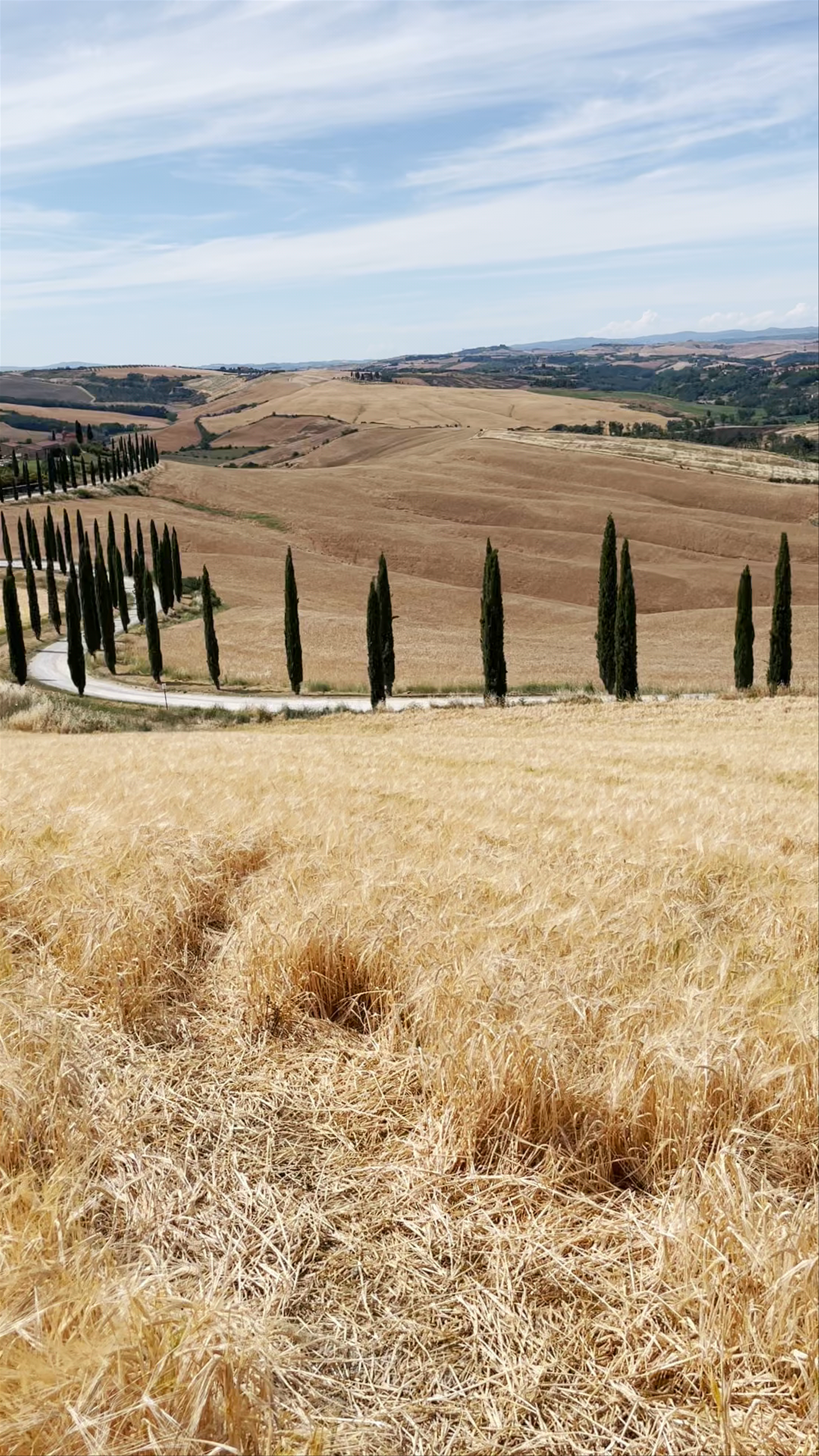 Agriturismo Baccoleno