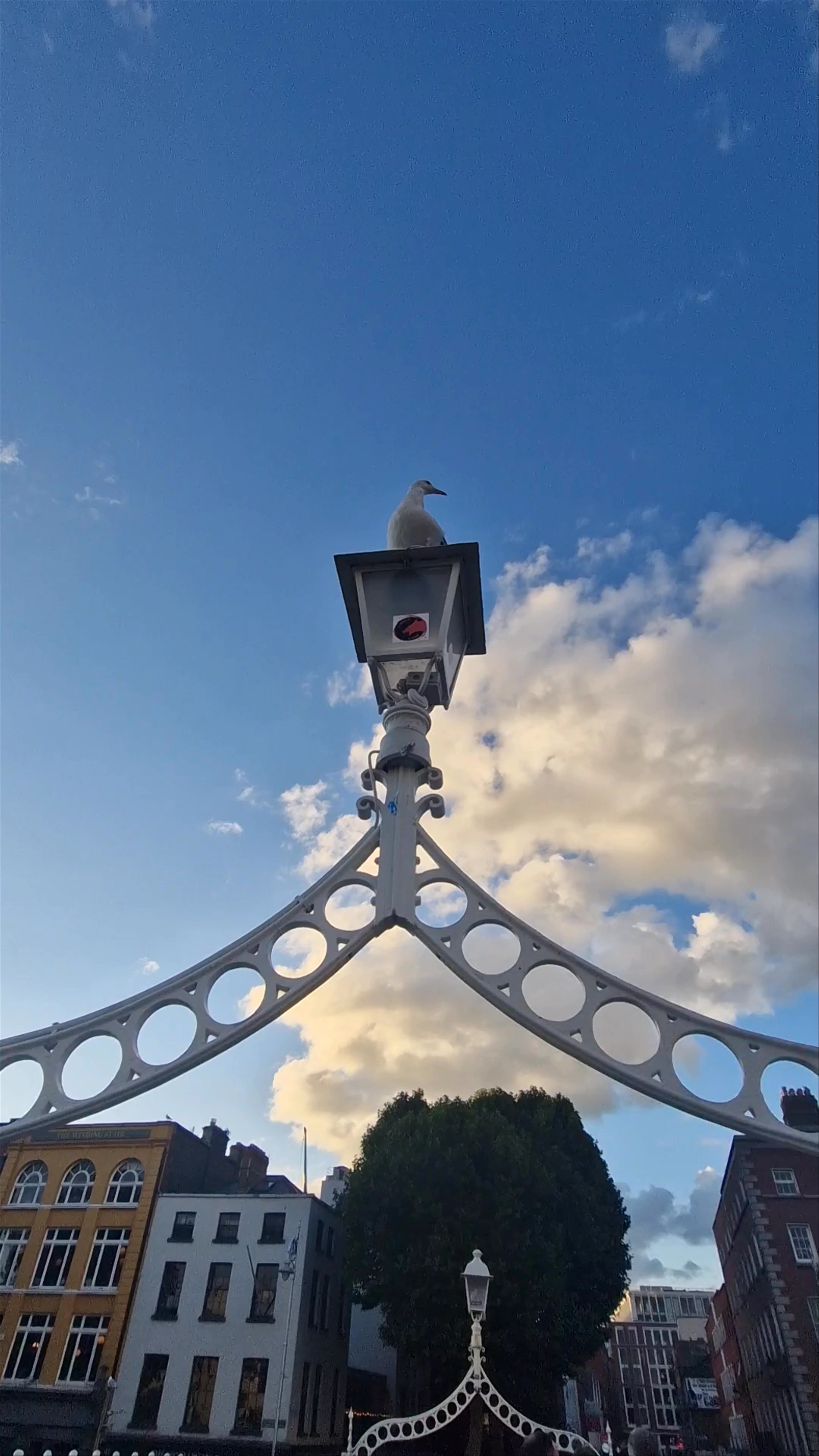Ha'penny Bridge, Bachelors Walk, North City, Dublin, Ireland