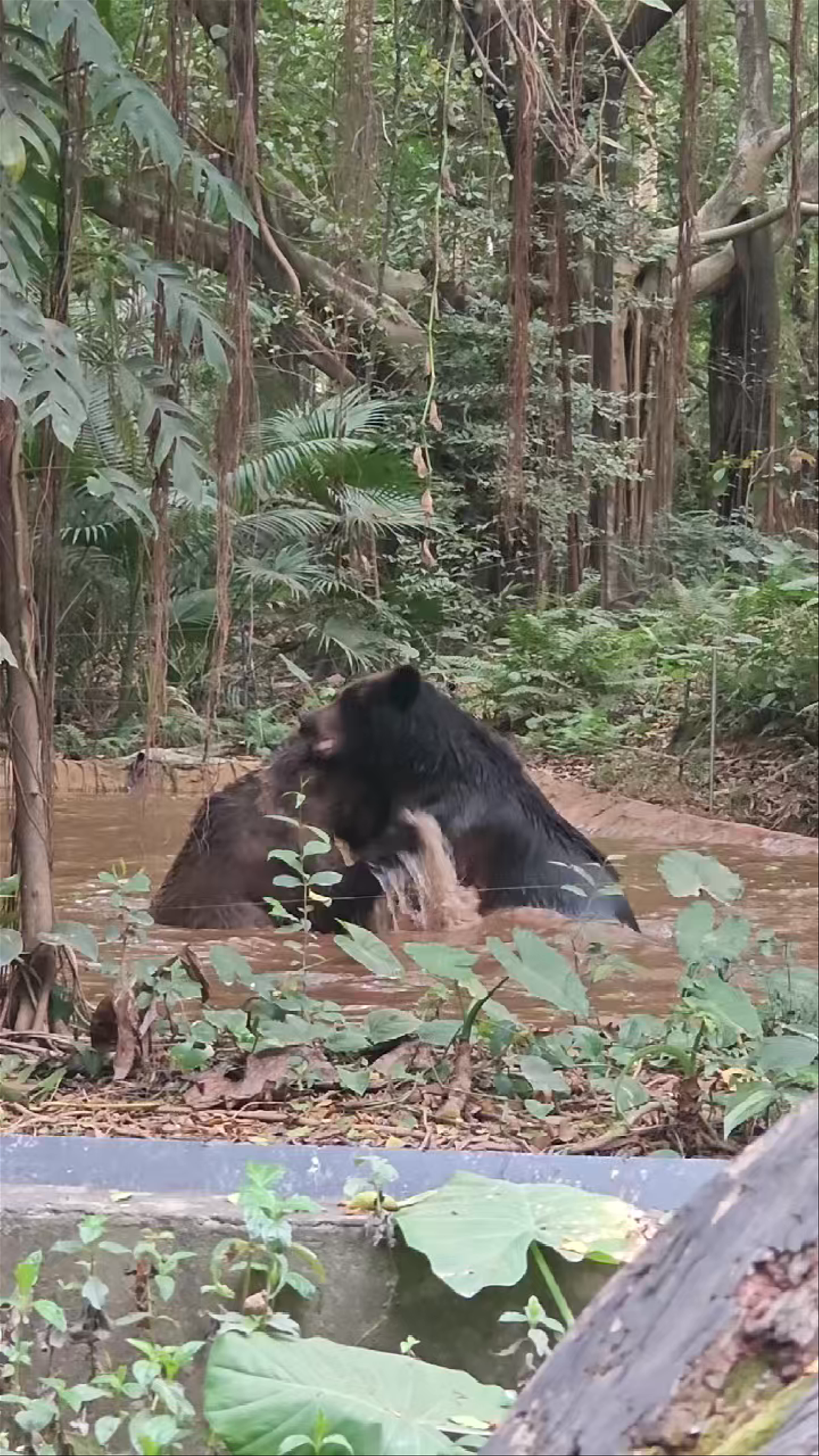 Chimelong Safari Park Tourist Service Center