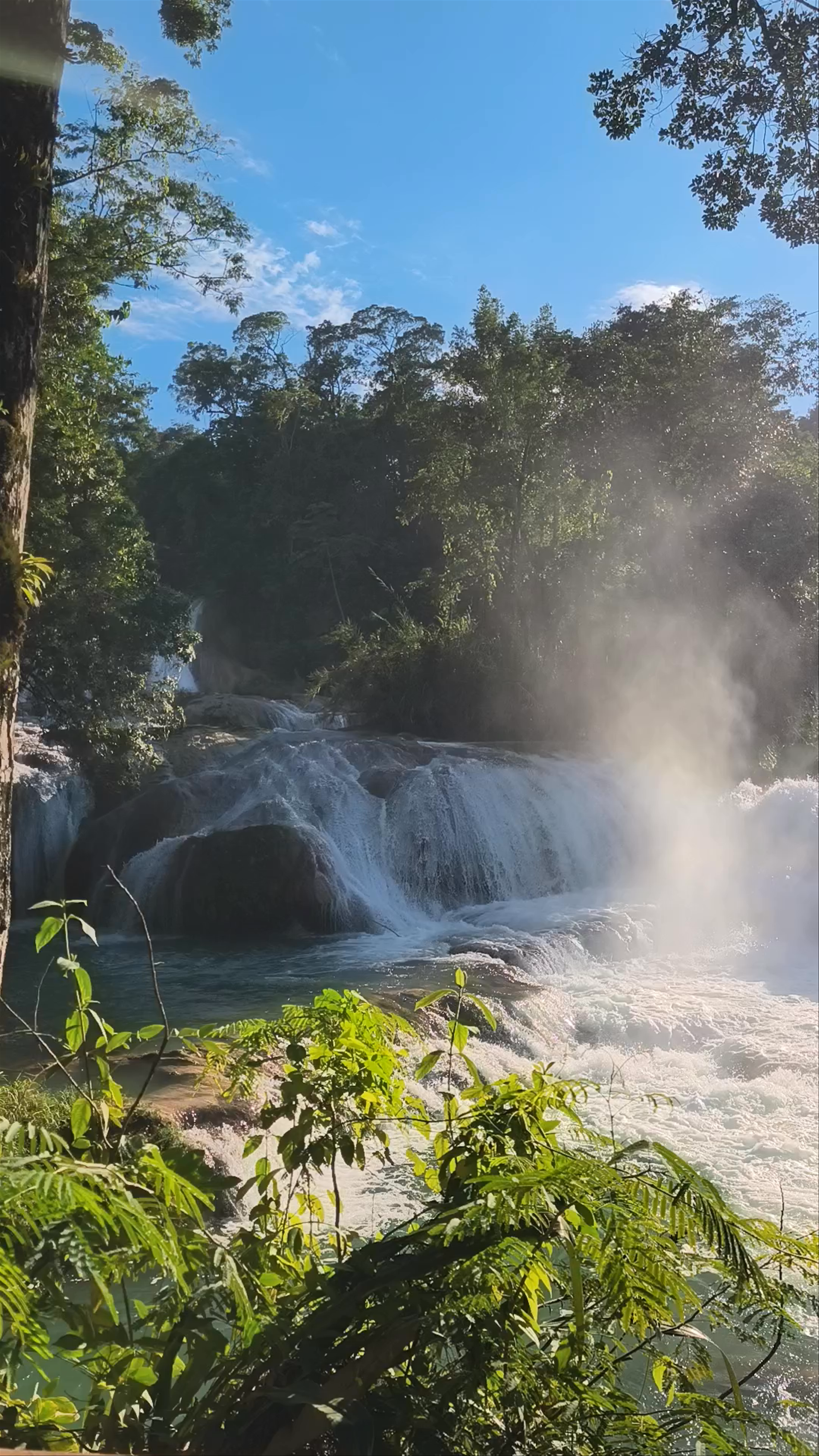Cascadas de Agua Azul