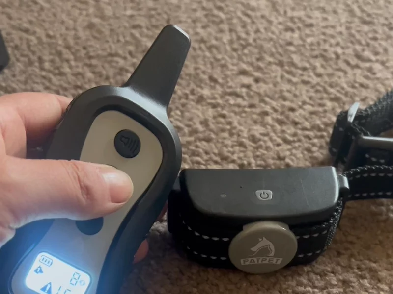 UGC EXAMPLE - PET COLLAR