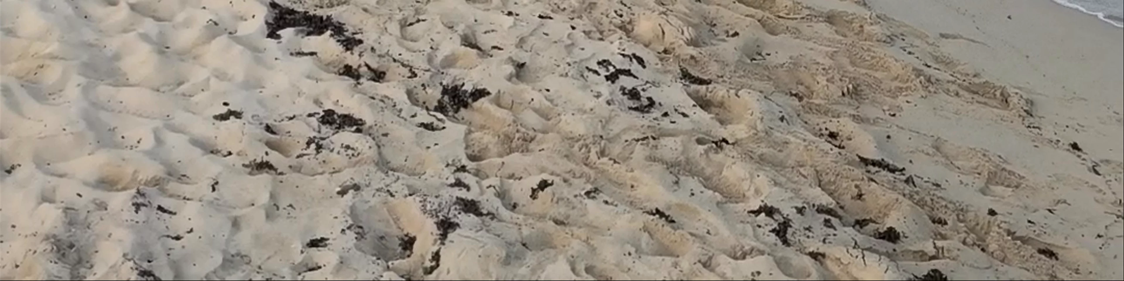 Playa Punta Piedra