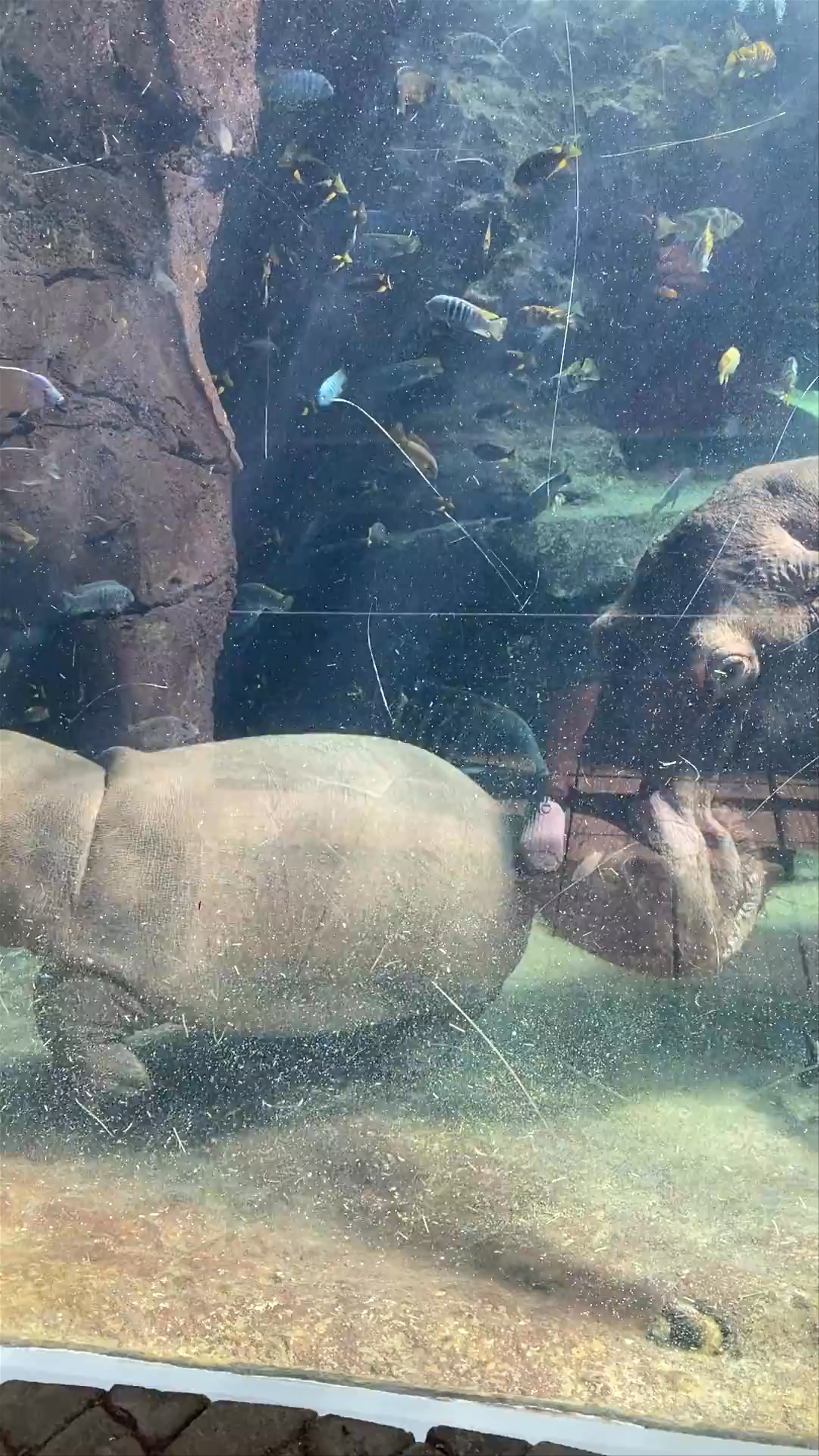 Bioparc