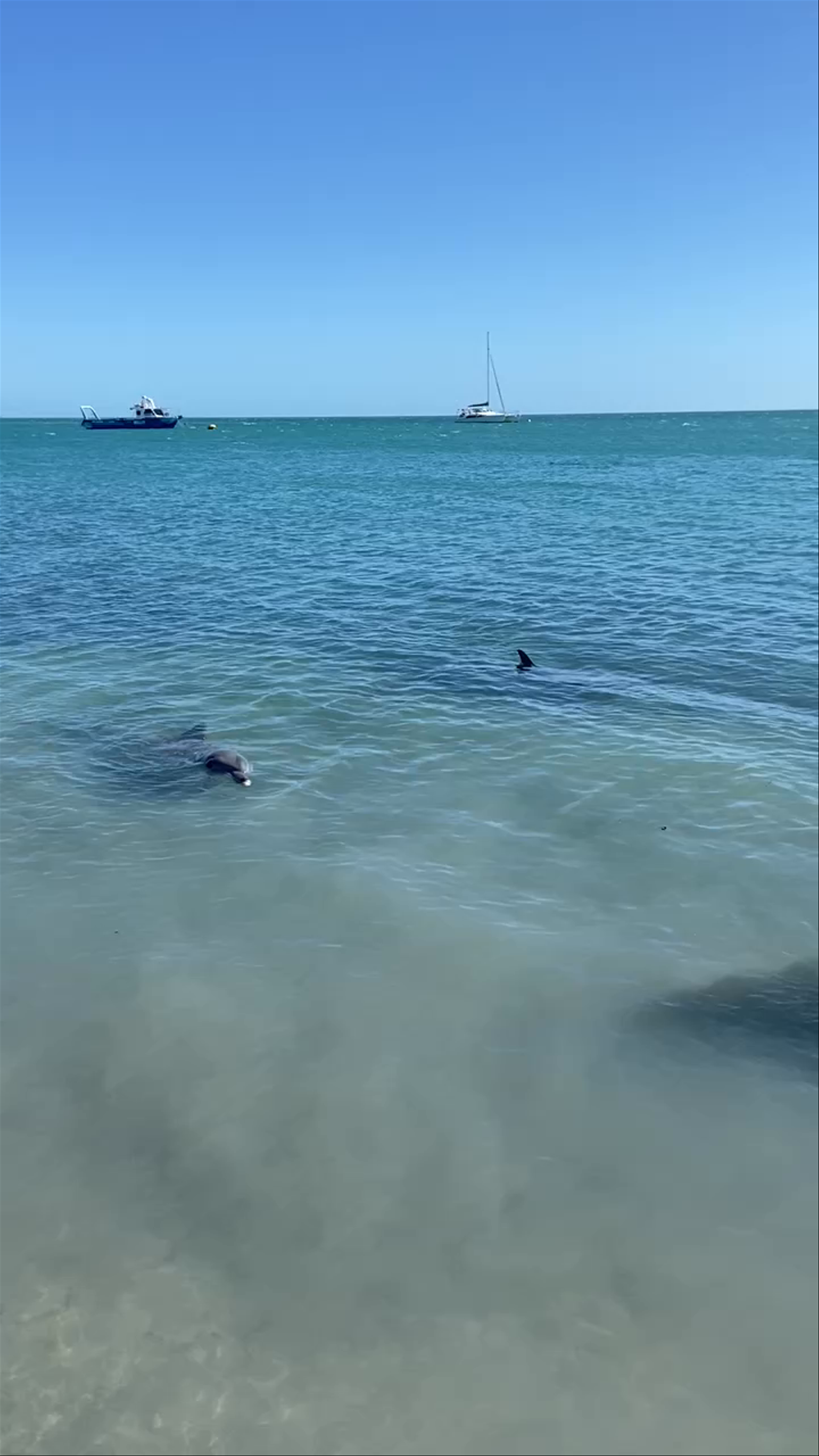 Monkey Mia Conservation Park Visitor Centre