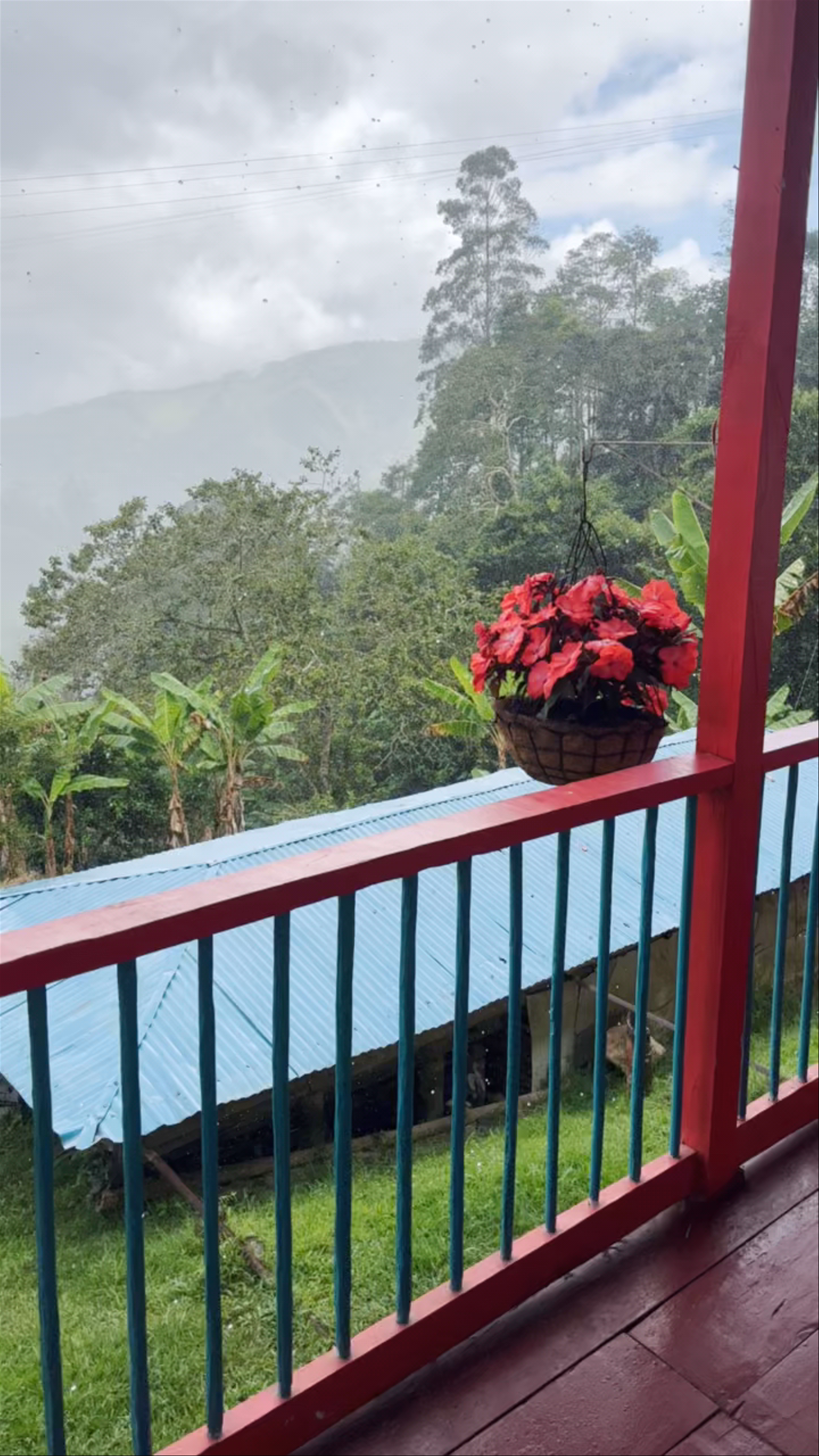 El Cairo Reserva Campestre