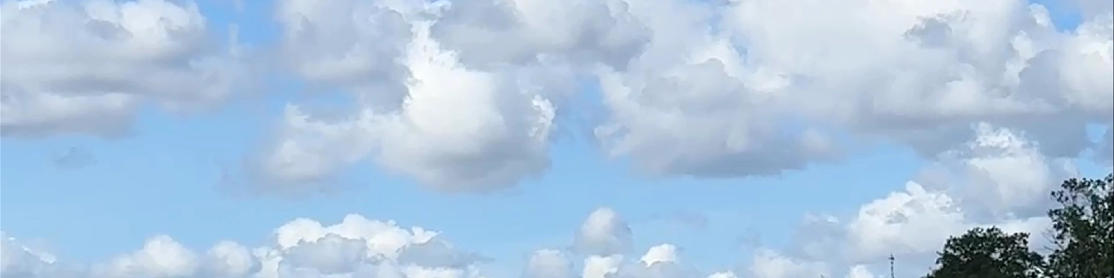 Vaxön