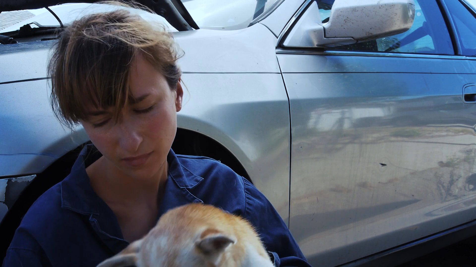 An automotive technician takes a brief pause from vehicle maintenance to provide care and attention to a small dog in a service garage environment.