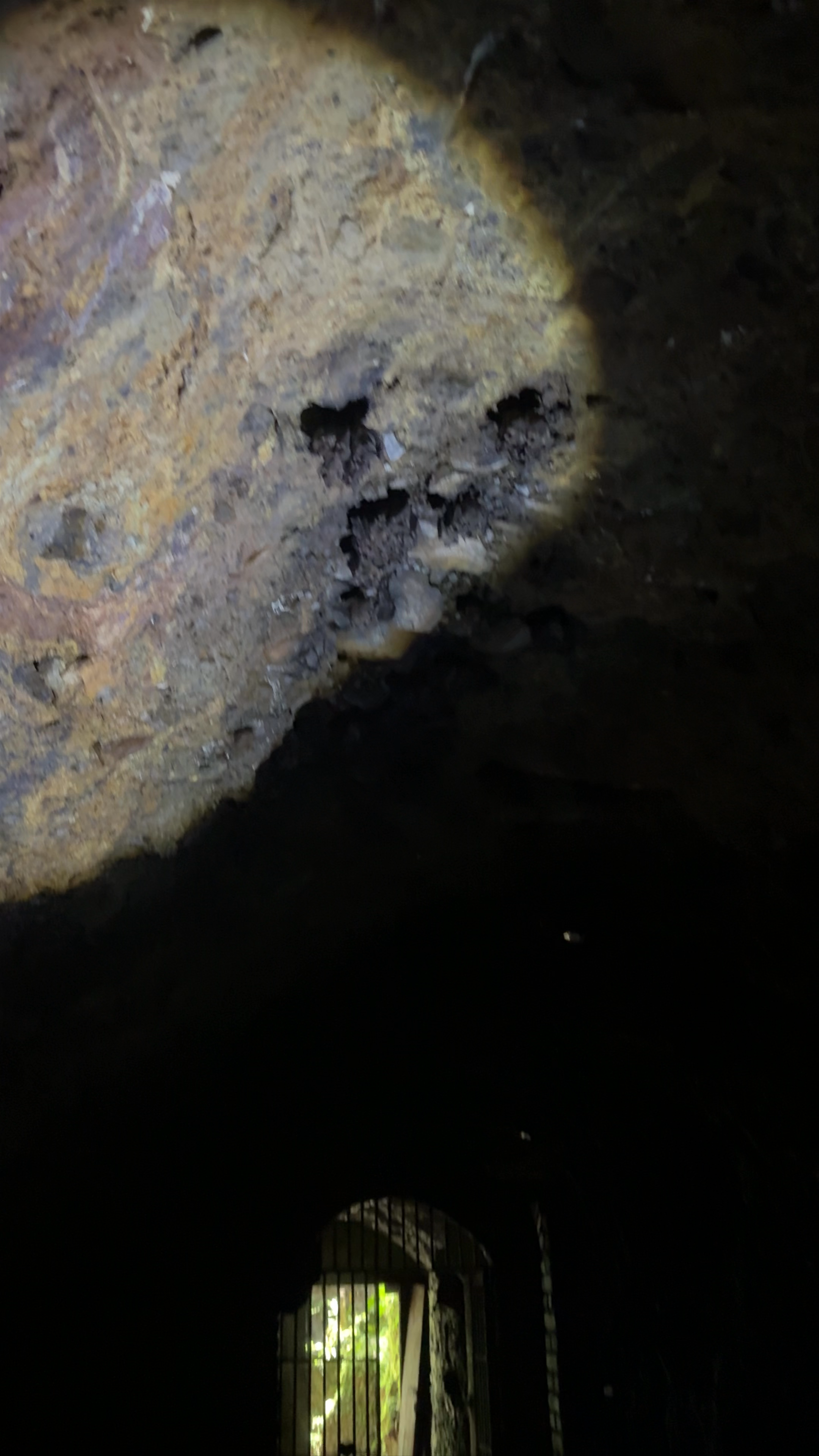 Cueva De Los Murcielagos