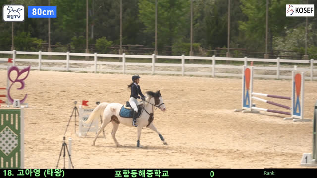 고아영 (태왕) — 2026 춘계 전국학생승마대회 · 장애물 80cm