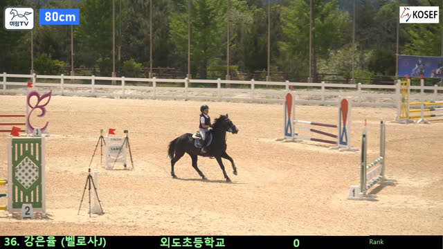 강은율 (변산여걸 (벨로사J)) — 2026 춘계 전국학생승마대회 · 장애물 80cm